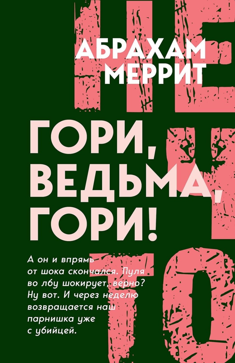 Обложка книги «Гори, ведьма, гори!»