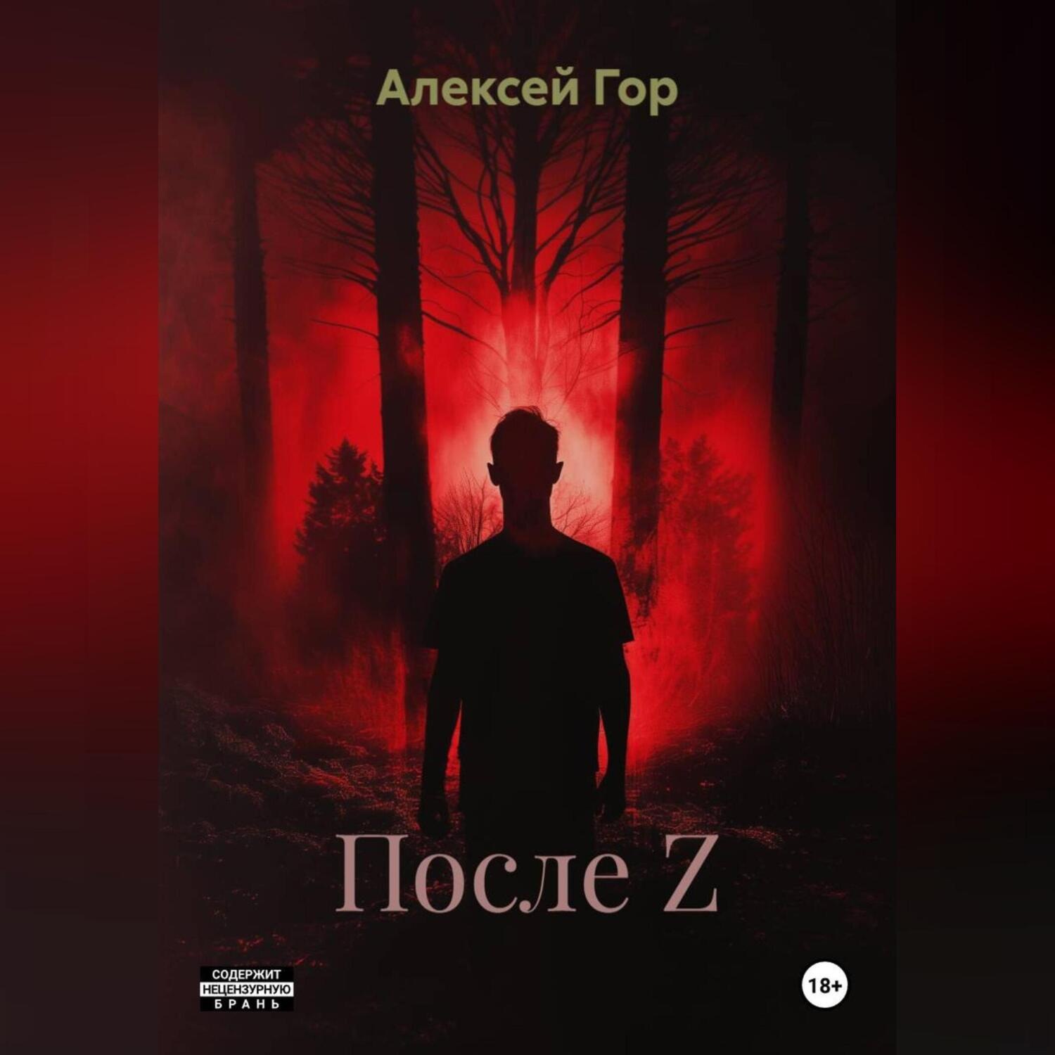 Обложка книги «После Z»