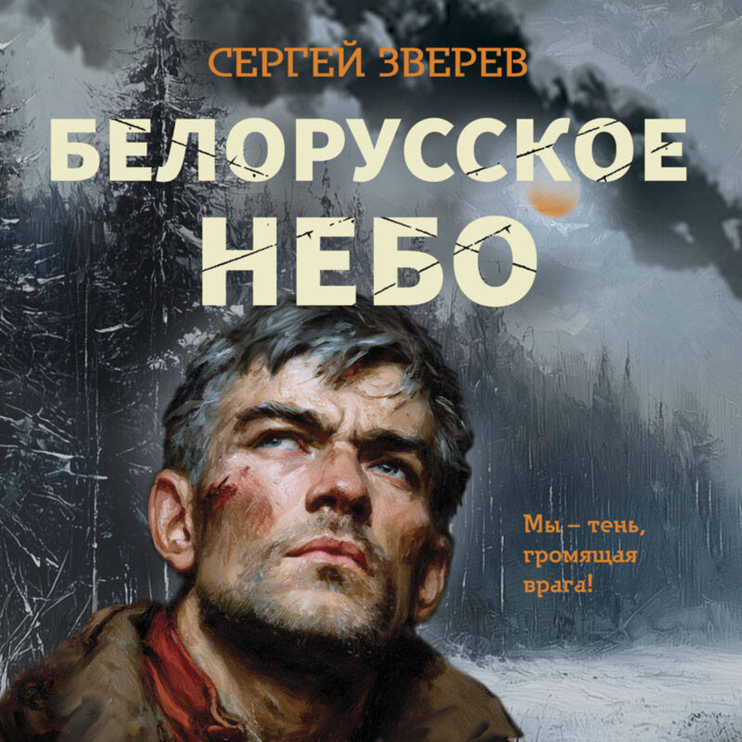 Обложка книги «Белорусское небо»