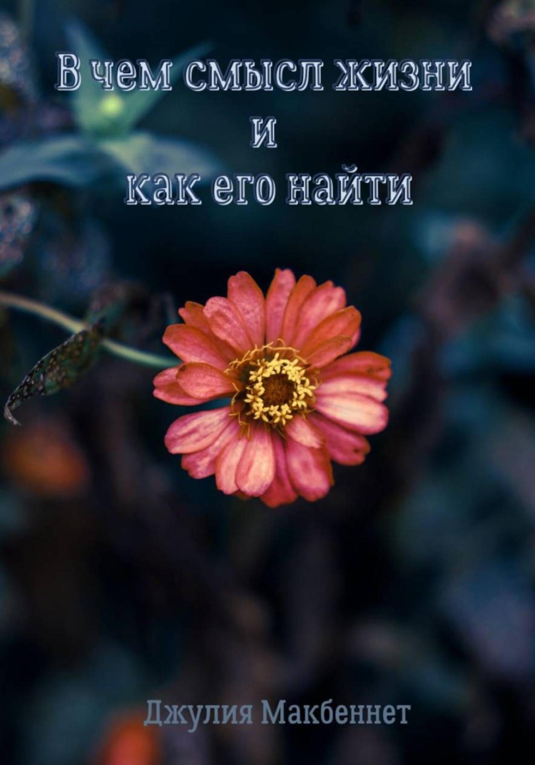 Обложка книги «В чем смысл жизни и как его найти»