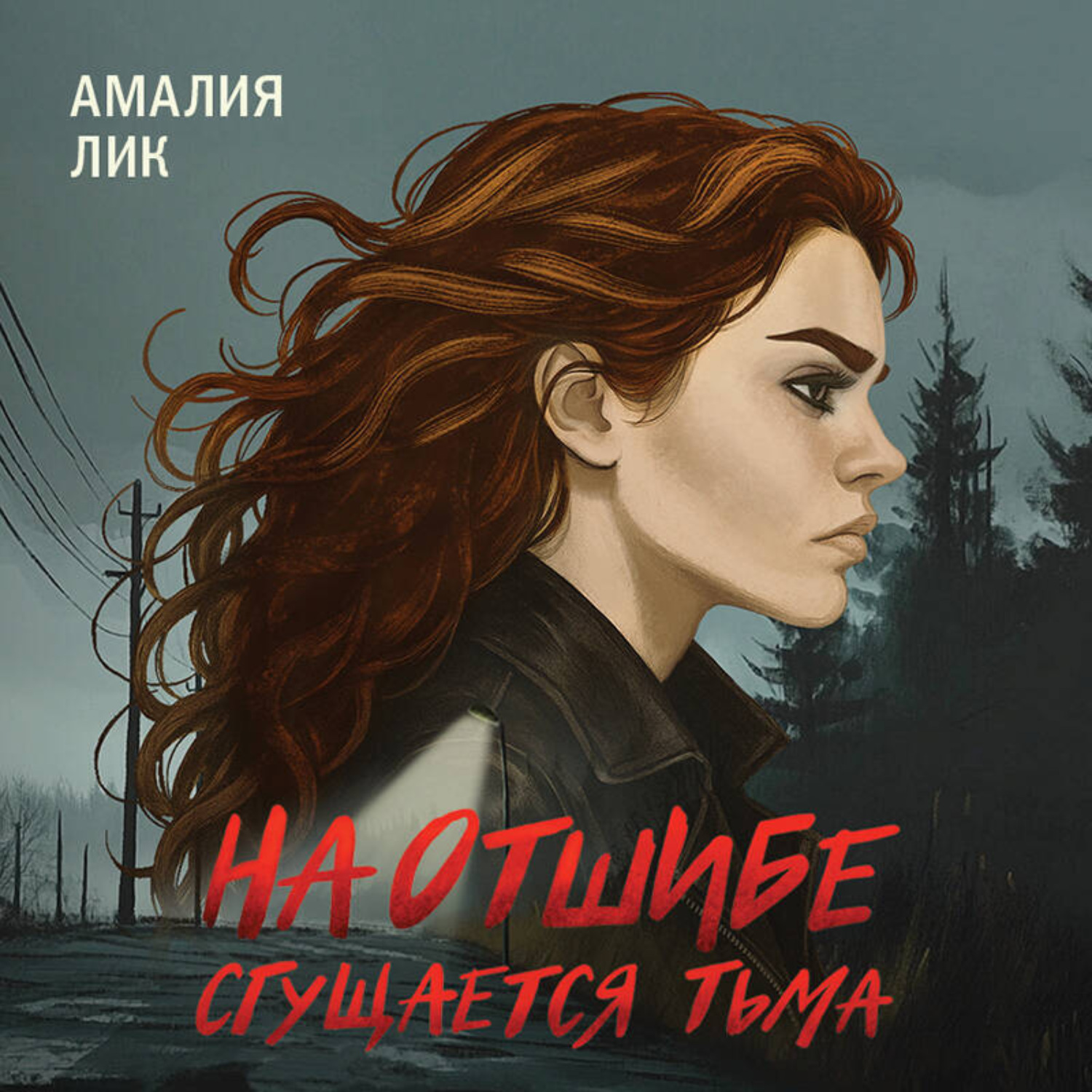 Обложка книги «На отшибе сгущается тьма»