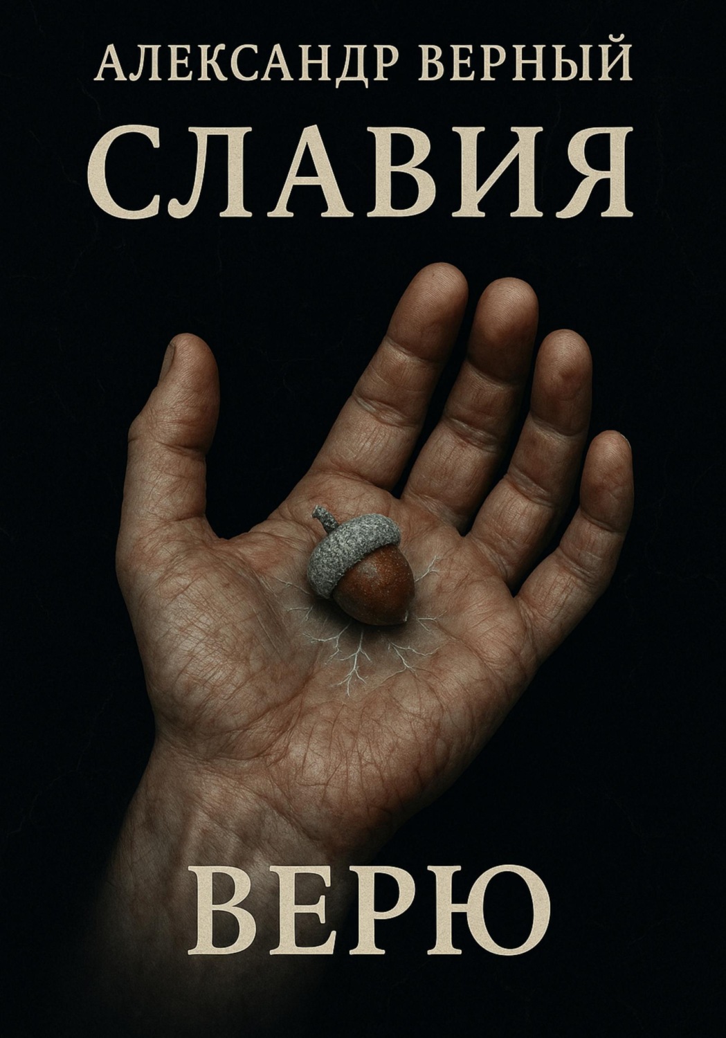 Обложка книги «Славия Верю»