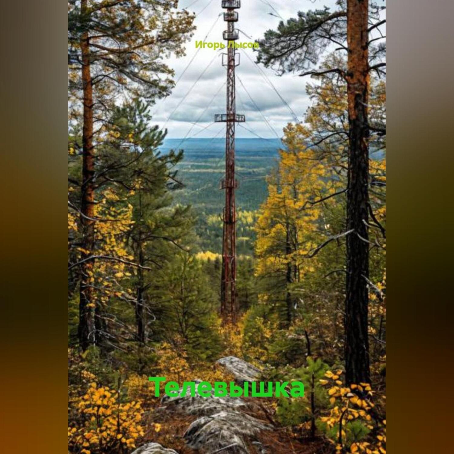 Обложка книги «Телевышка»