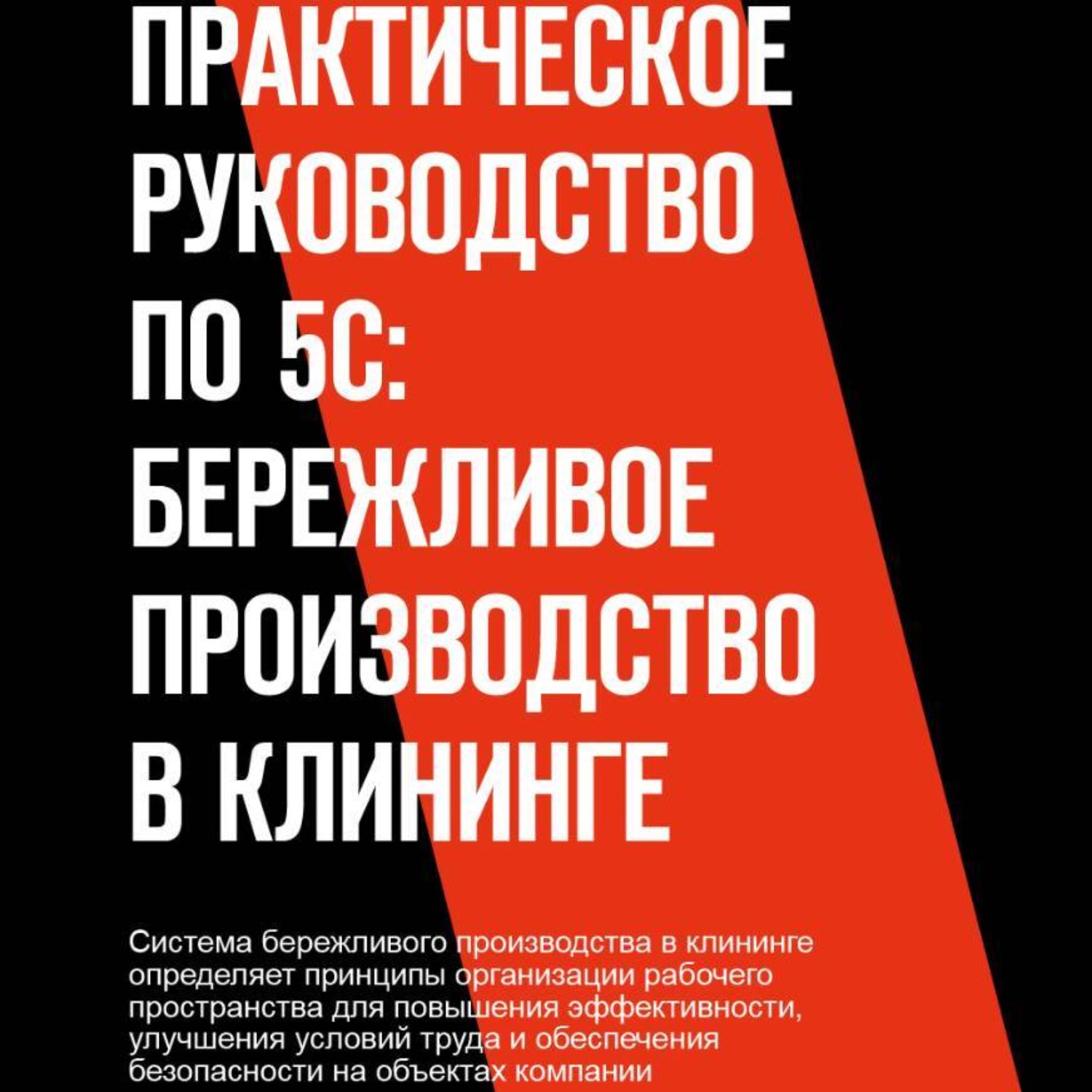 Обложка книги «практическое руководство по 5С: бережливое производство»