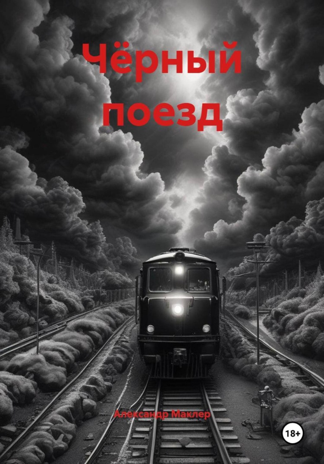 Обложка книги «Чёрный поезд»