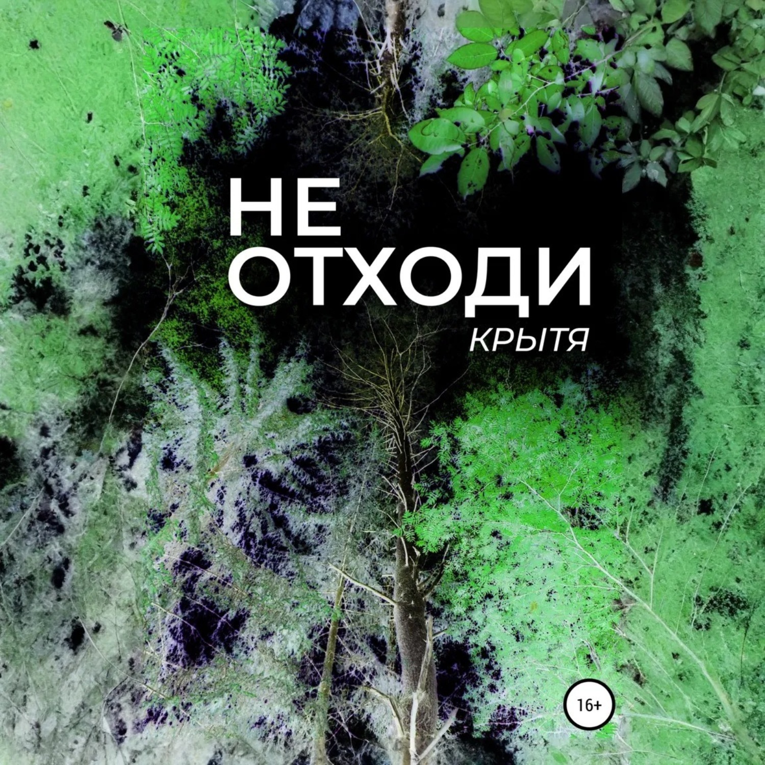 Обложка книги «Не отходи»