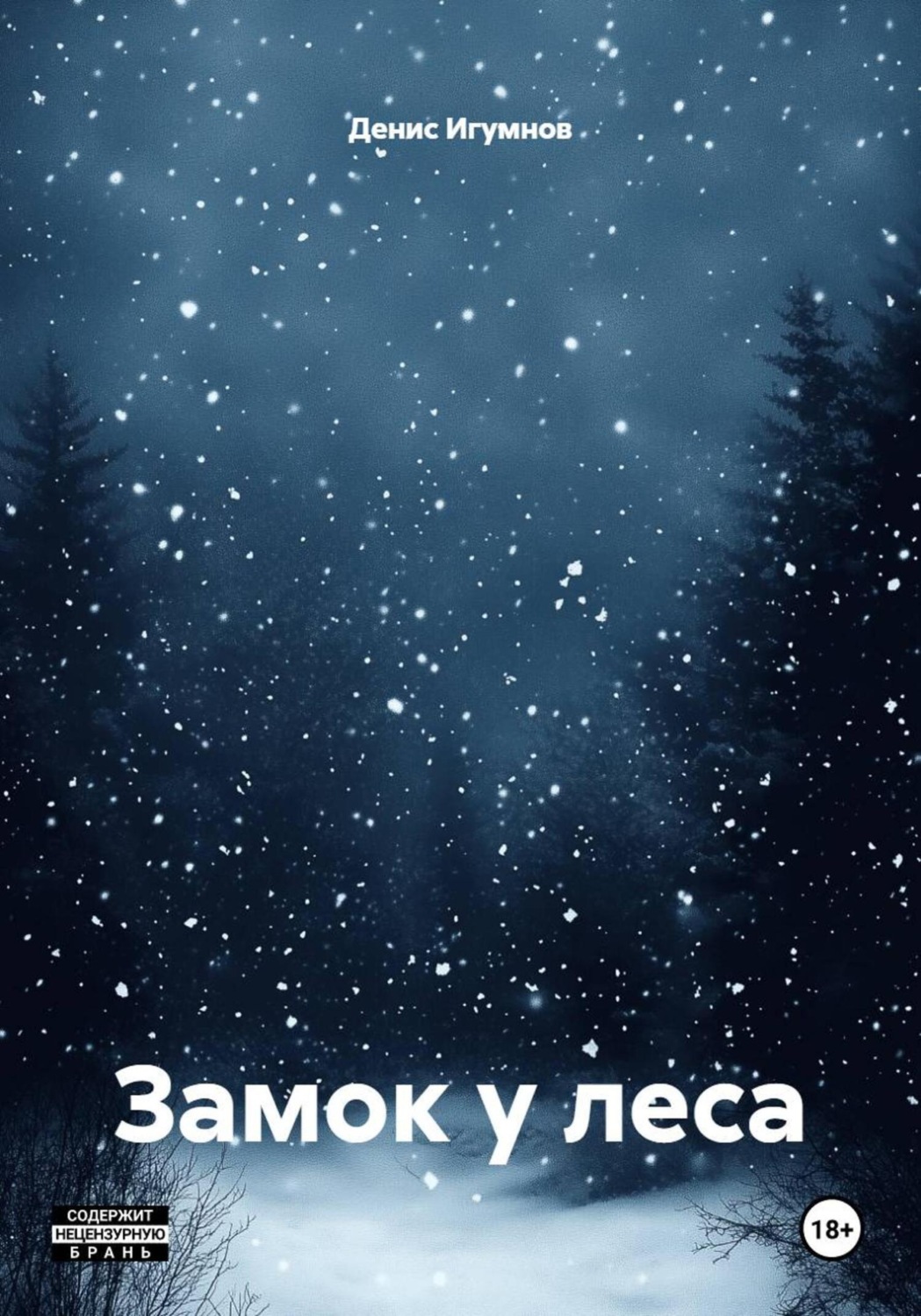 Обложка книги «Замок у леса»