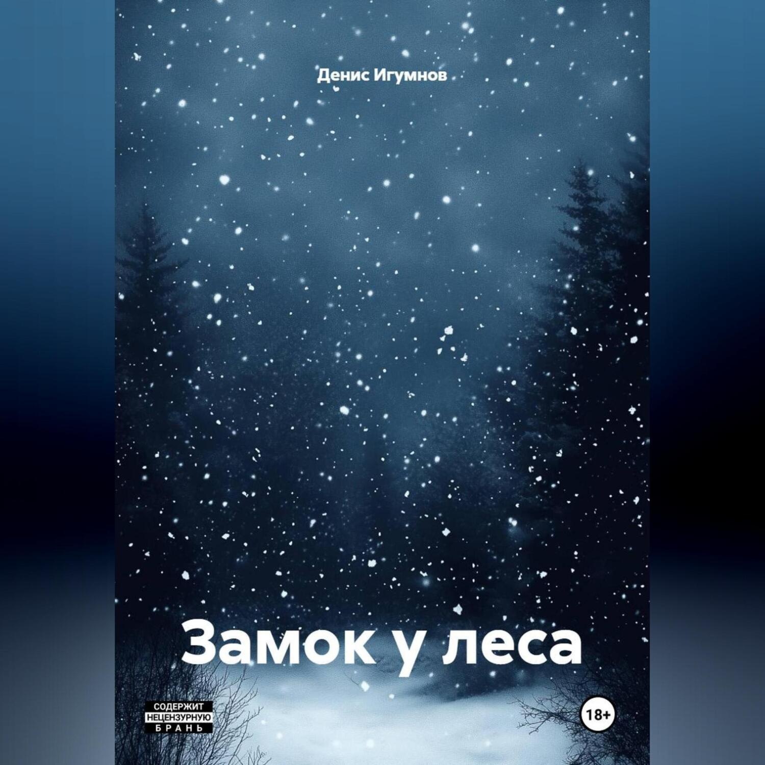 Обложка книги «Замок у леса»