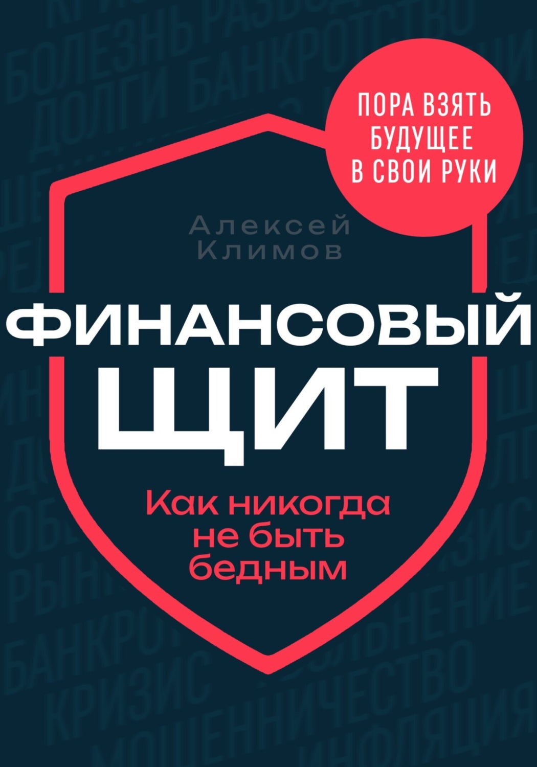 Обложка книги «Финансовый щит»