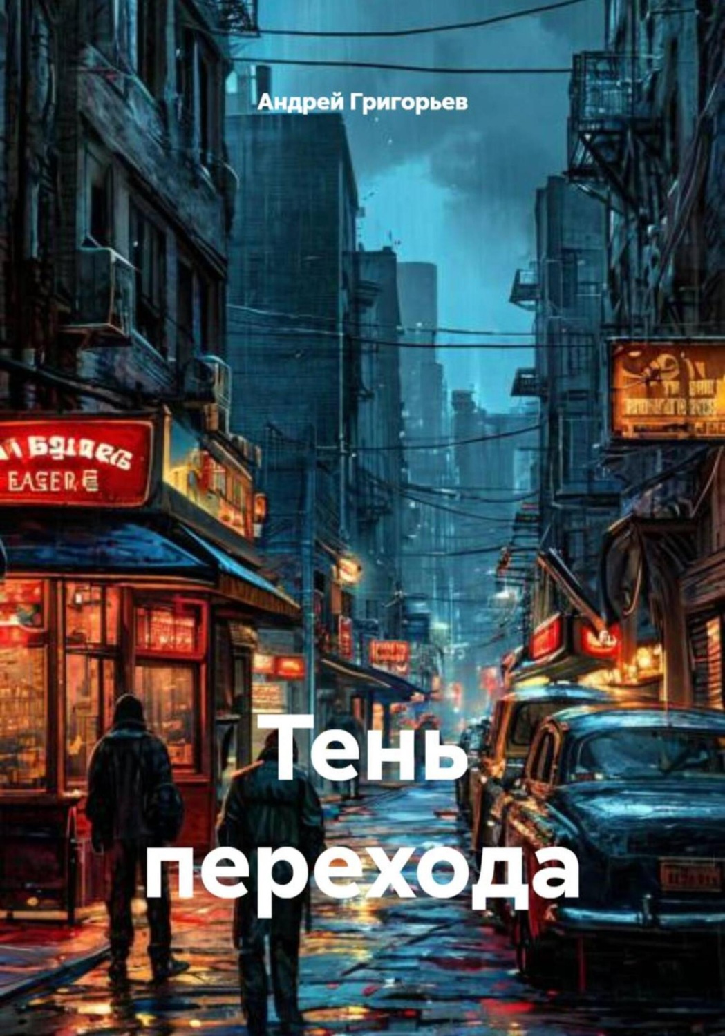 Обложка книги «Тень перехода»