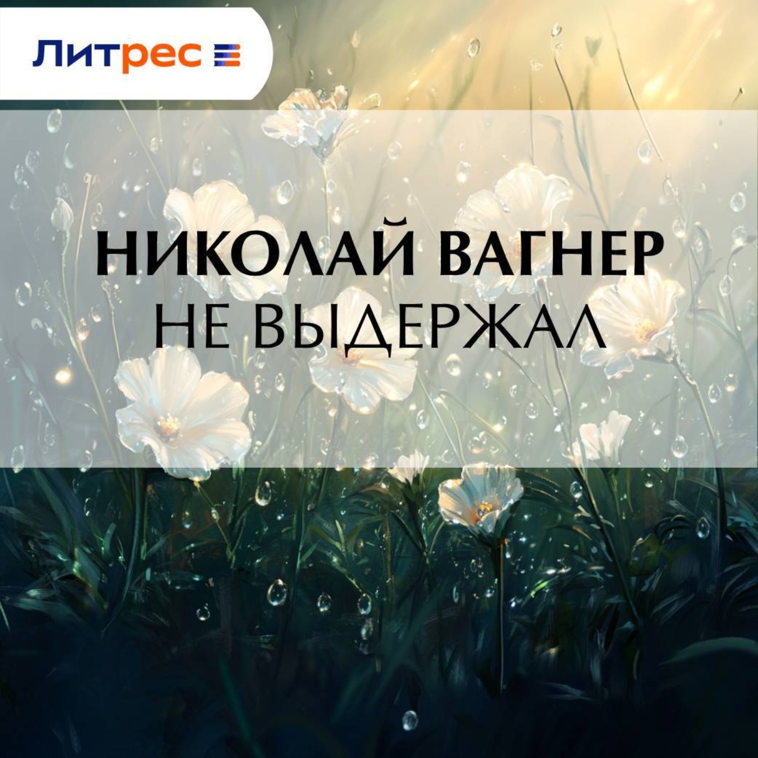 Обложка книги «Не выдержал»