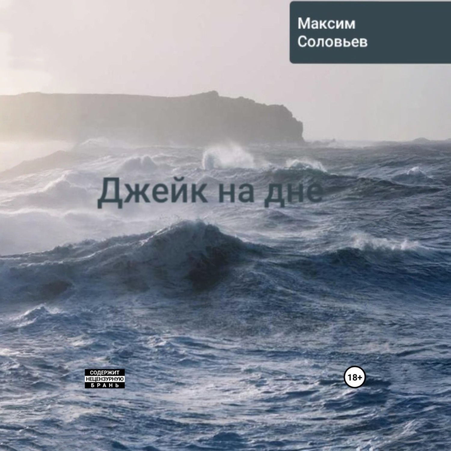 Обложка книги «Джейк на дне»