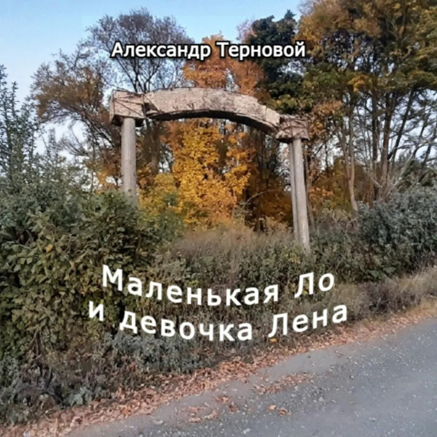 Обложка книги «Маленькая Ло и девочка Лена»