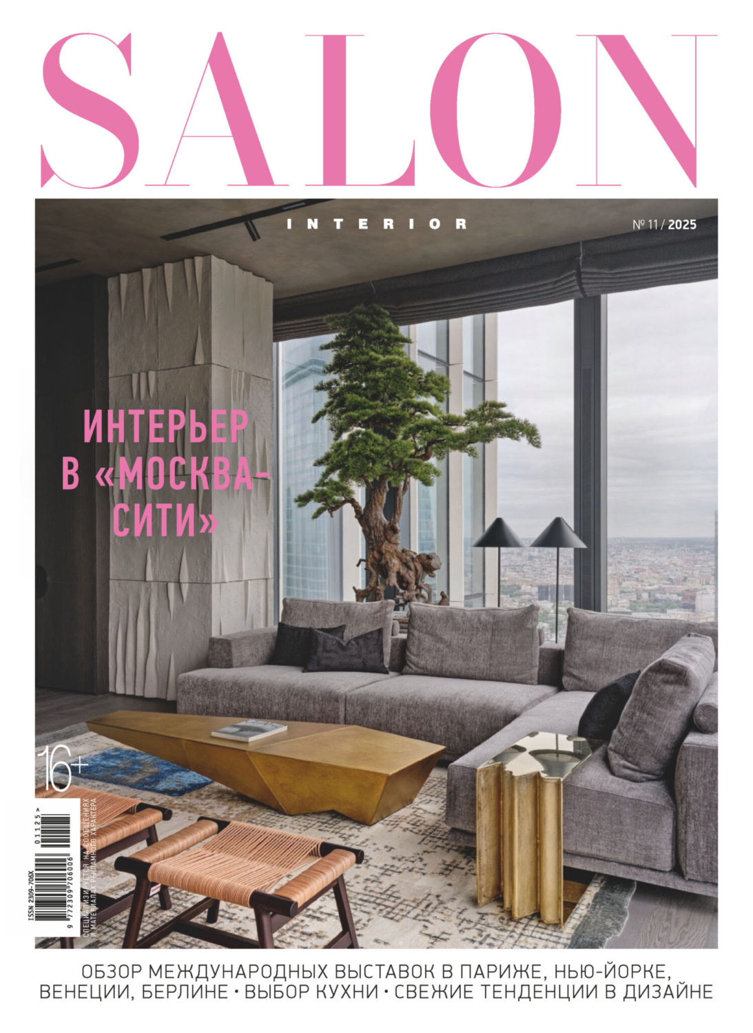 Обложка книги «SALON-interior №11/2025»