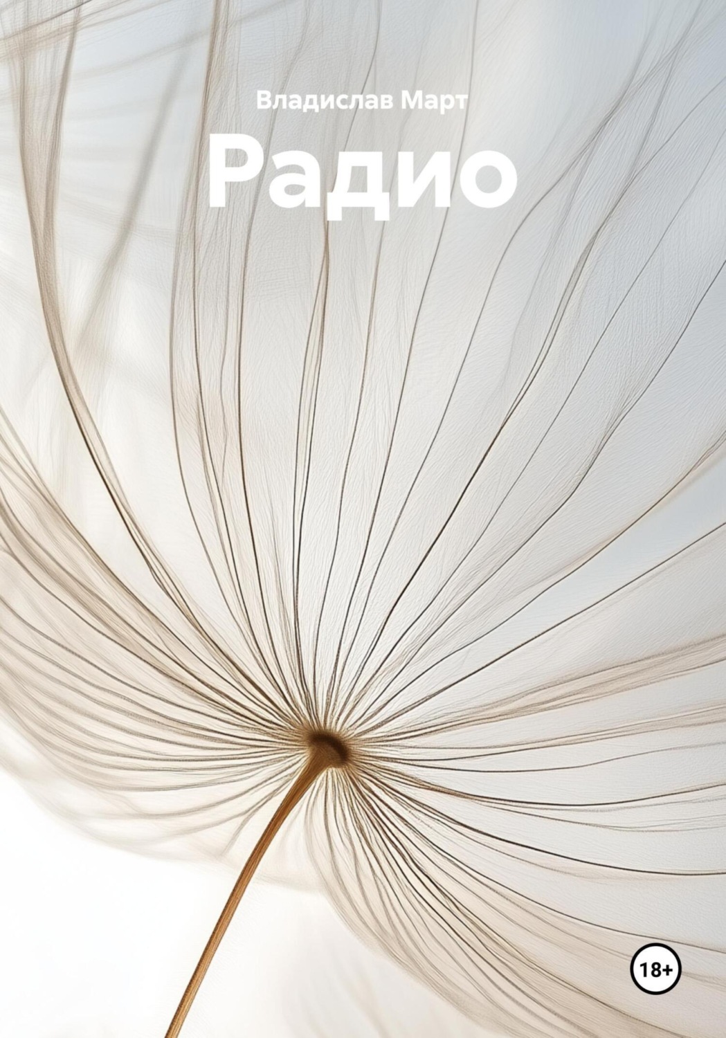 Обложка книги «Радио»