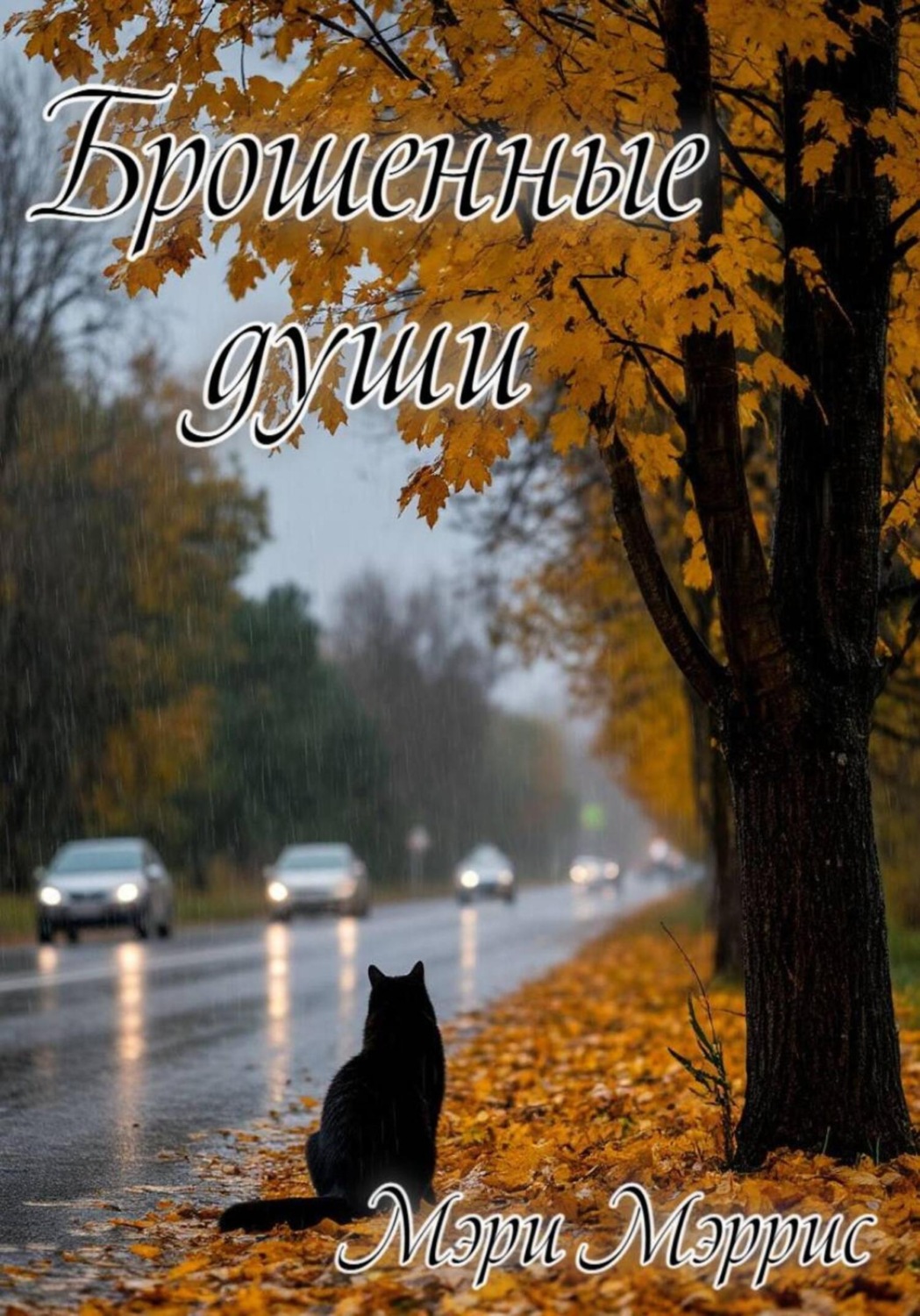 Обложка книги «Брошенные души»
