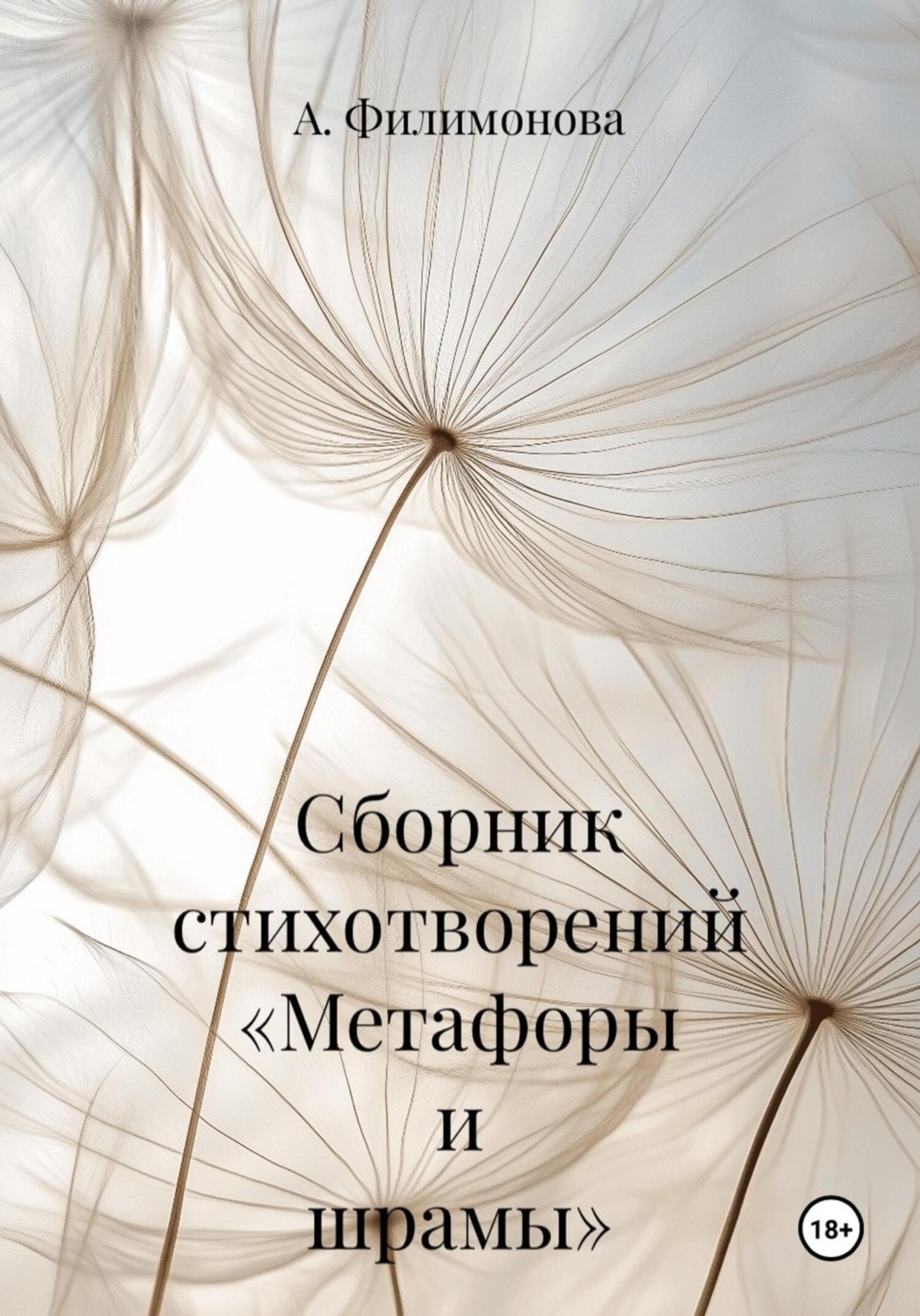 Обложка книги «Сборник стихотворений «Метафоры и шрамы»»