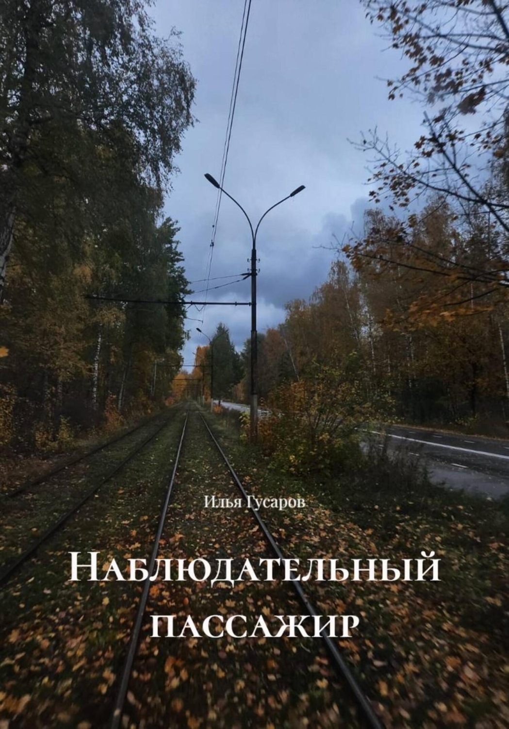 Обложка книги «Наблюдательный пассажир»
