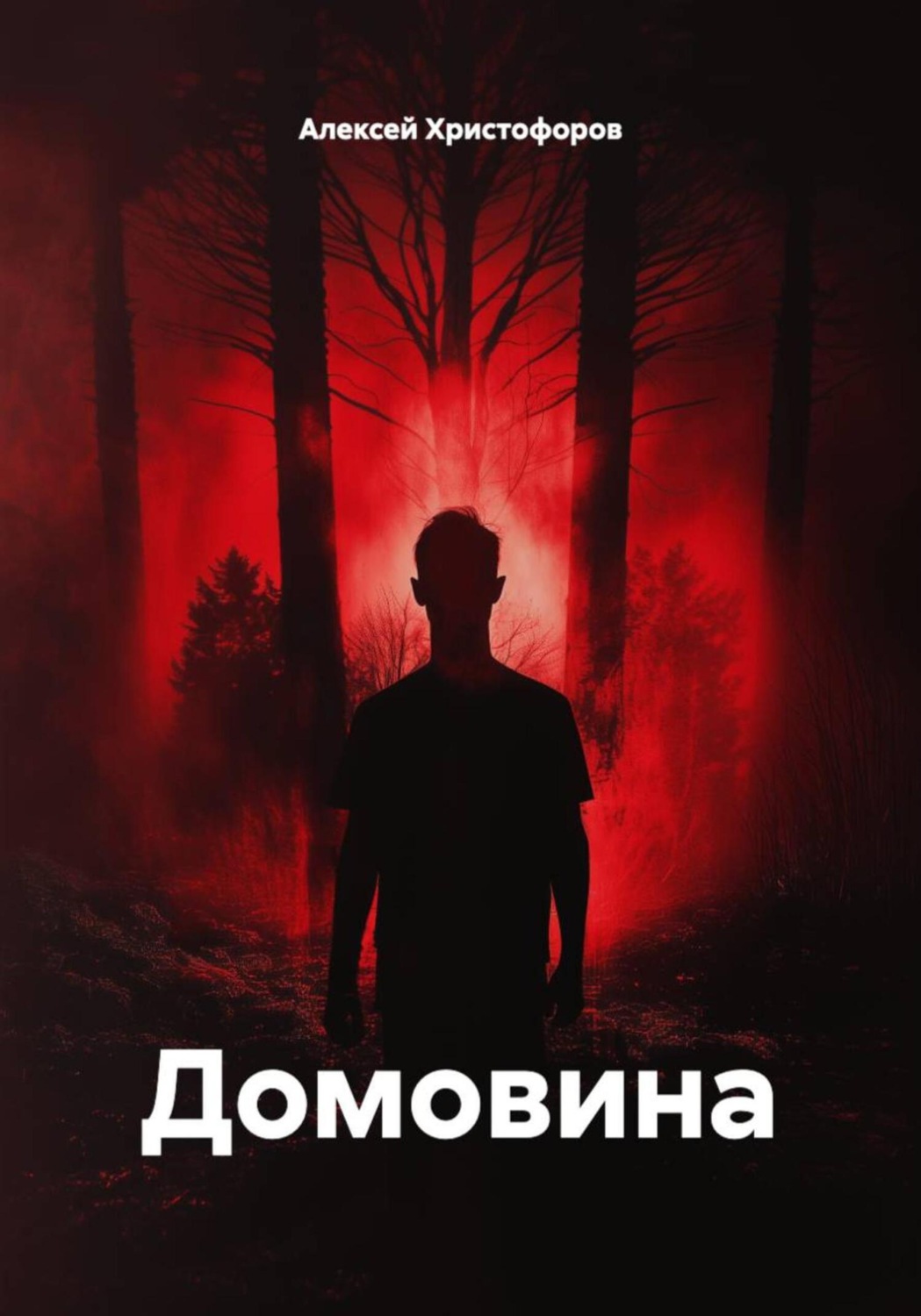 Обложка книги «Домовина»