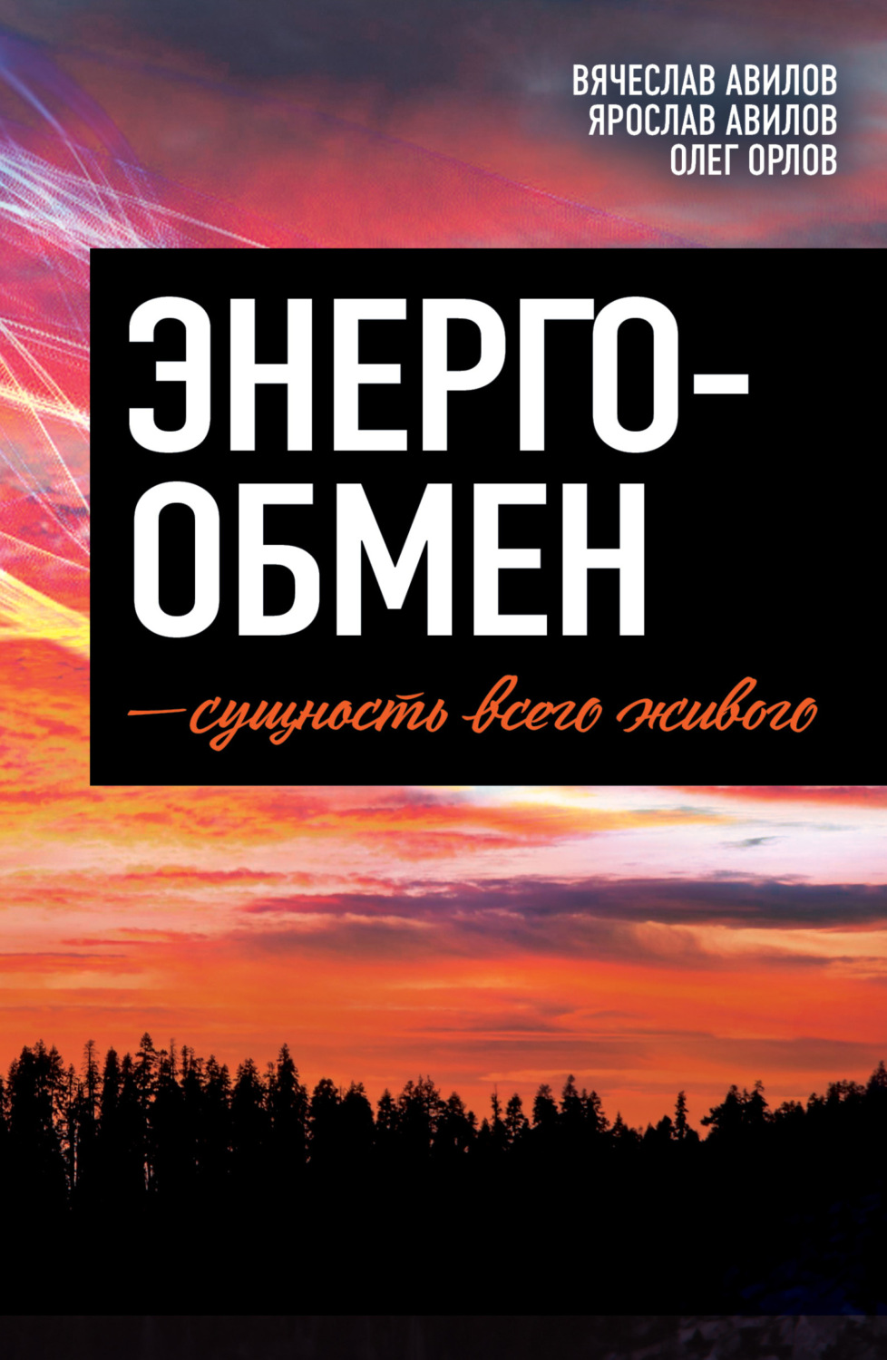 Обложка книги «Энергообмен – сущность всего живого»