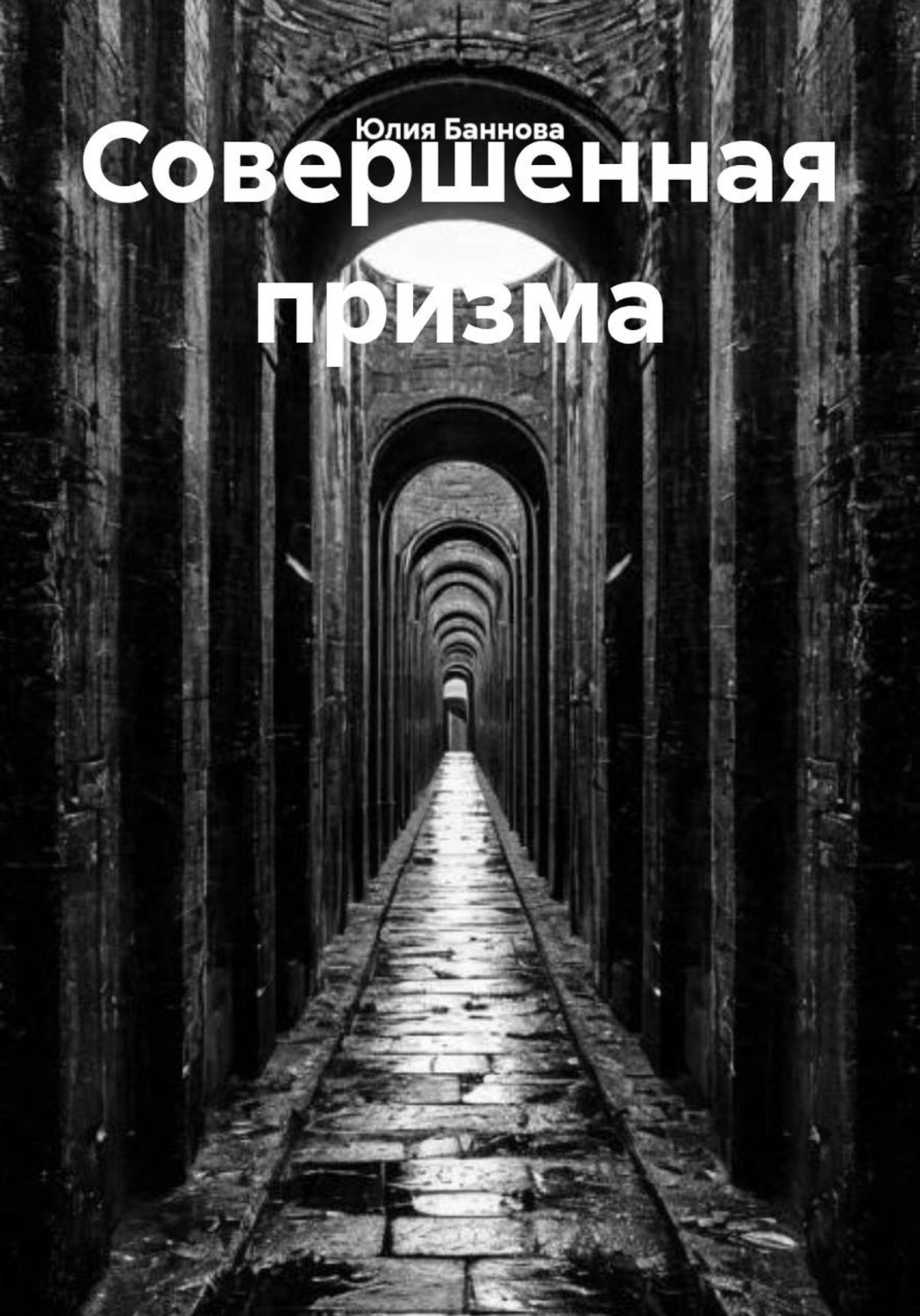Обложка книги «Совершенная призма»