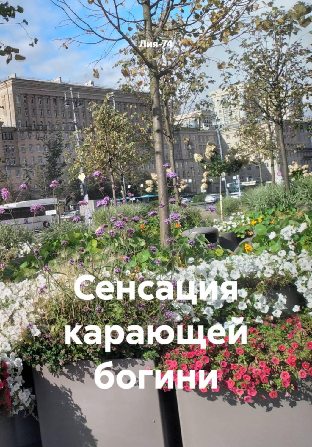 Обложка книги «Сенсация карающей богини»