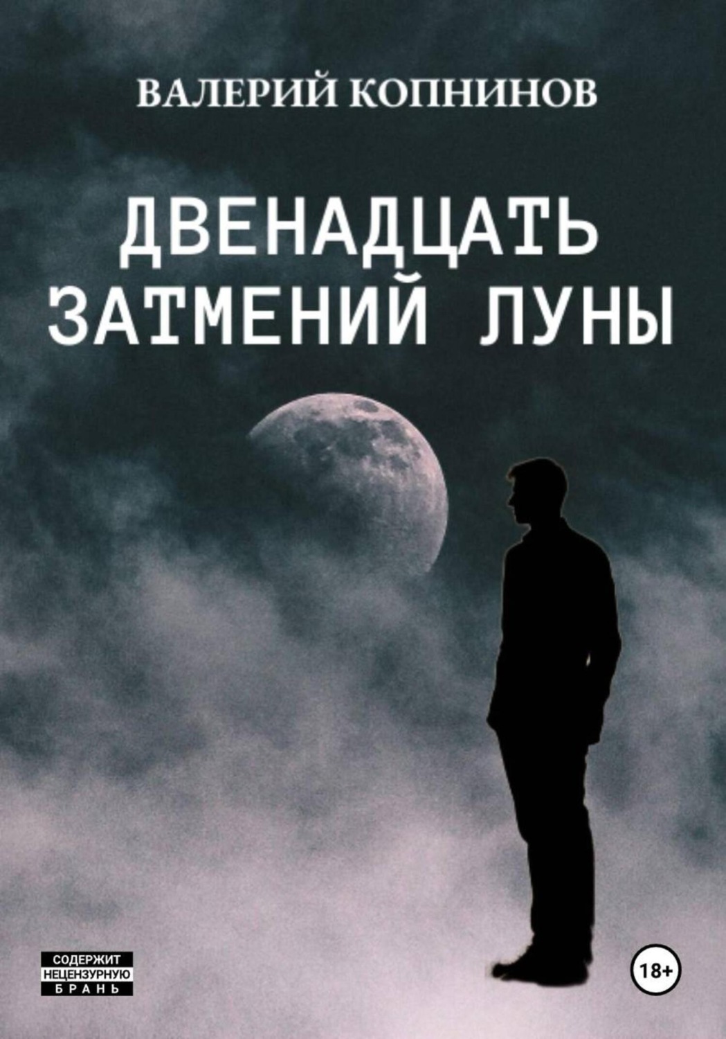 Обложка книги «Двенадцать затмений луны»