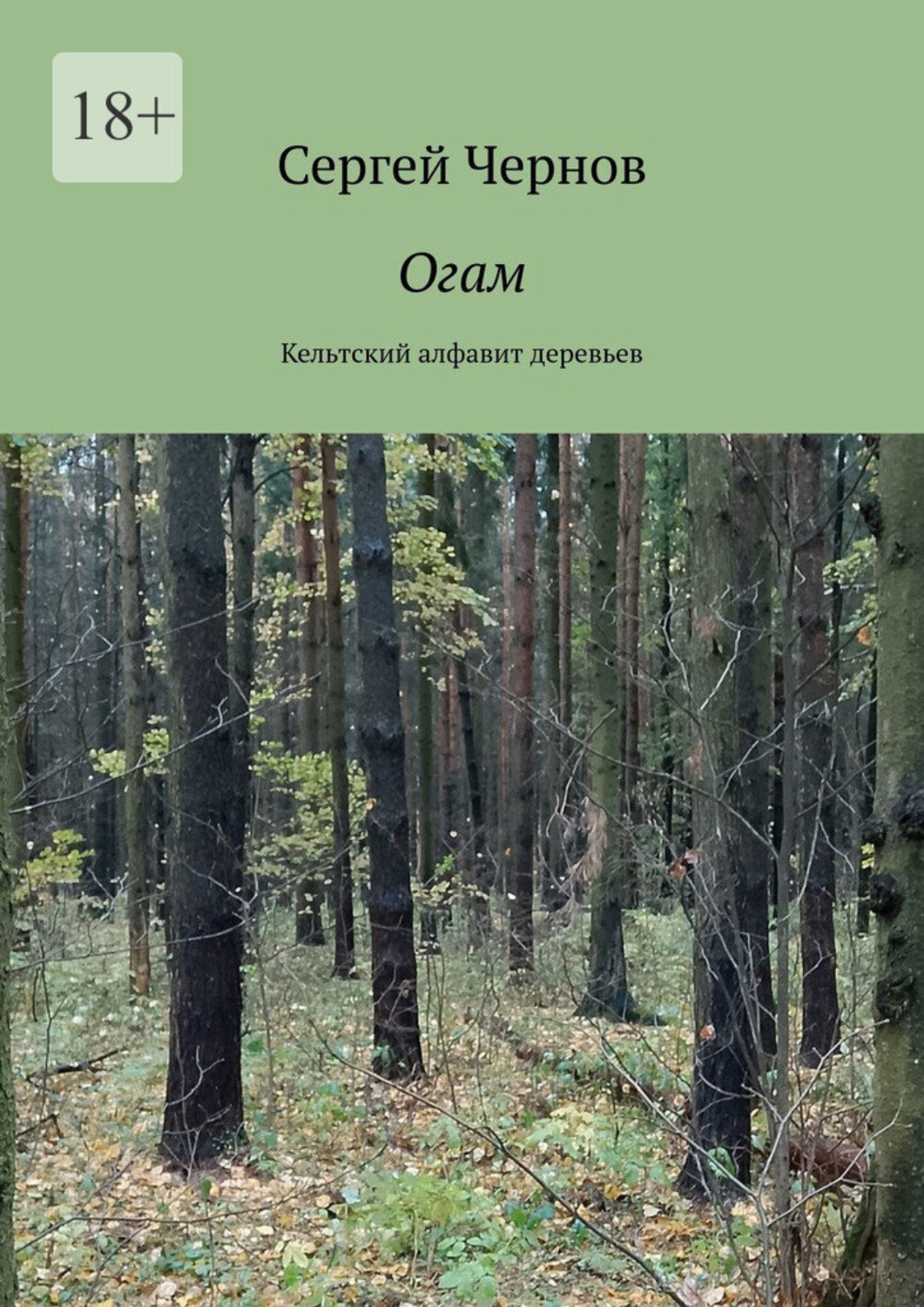 Обложка книги «Огам. Кельтский алфавит деревьев»