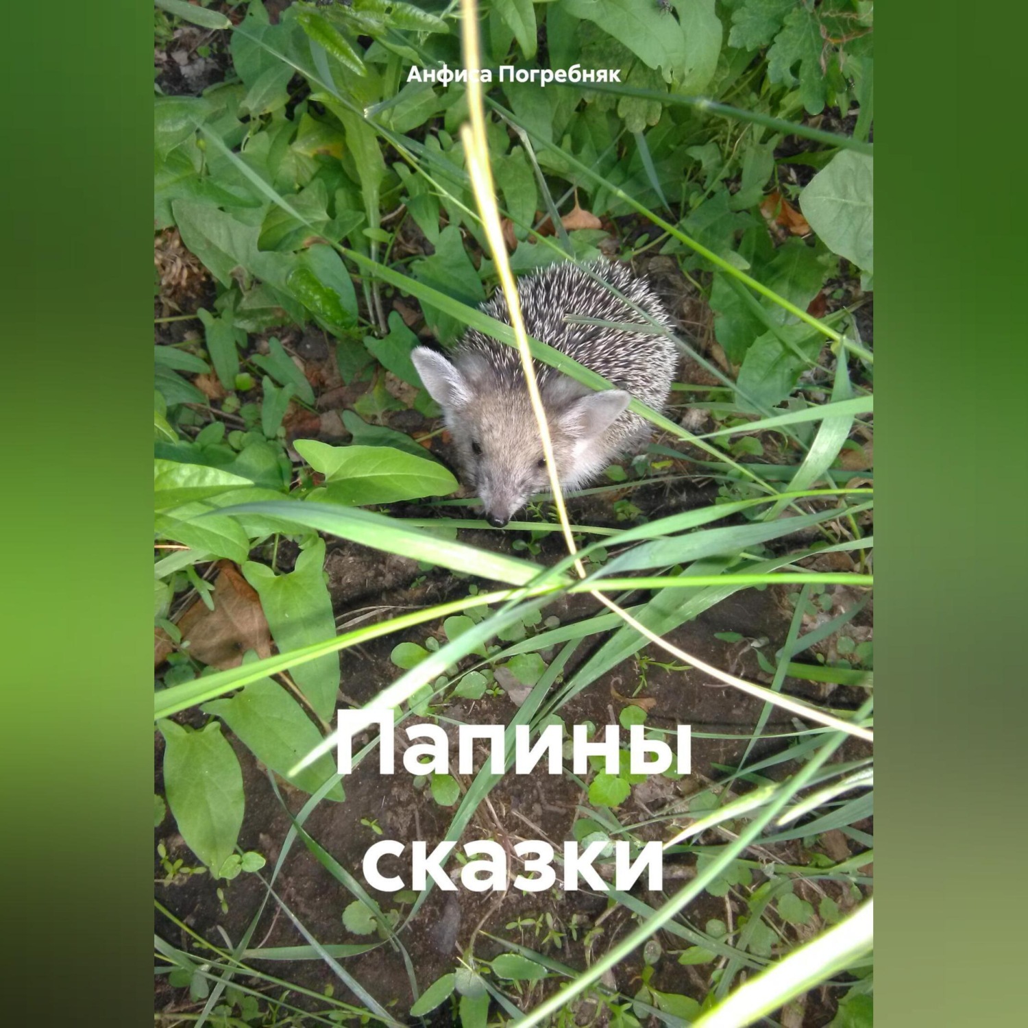 Обложка книги «Папины сказки»