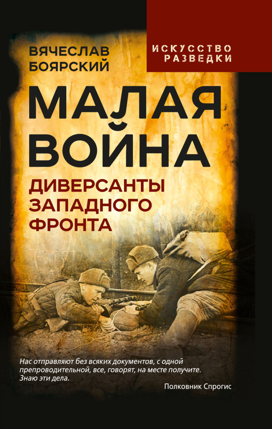 Обложка книги «Малая война. Диверсанты Западного фронта»