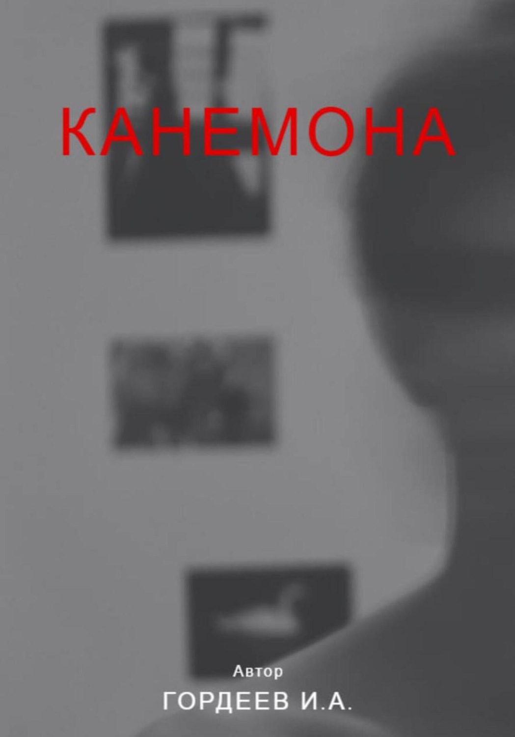 Обложка книги «Канемона»