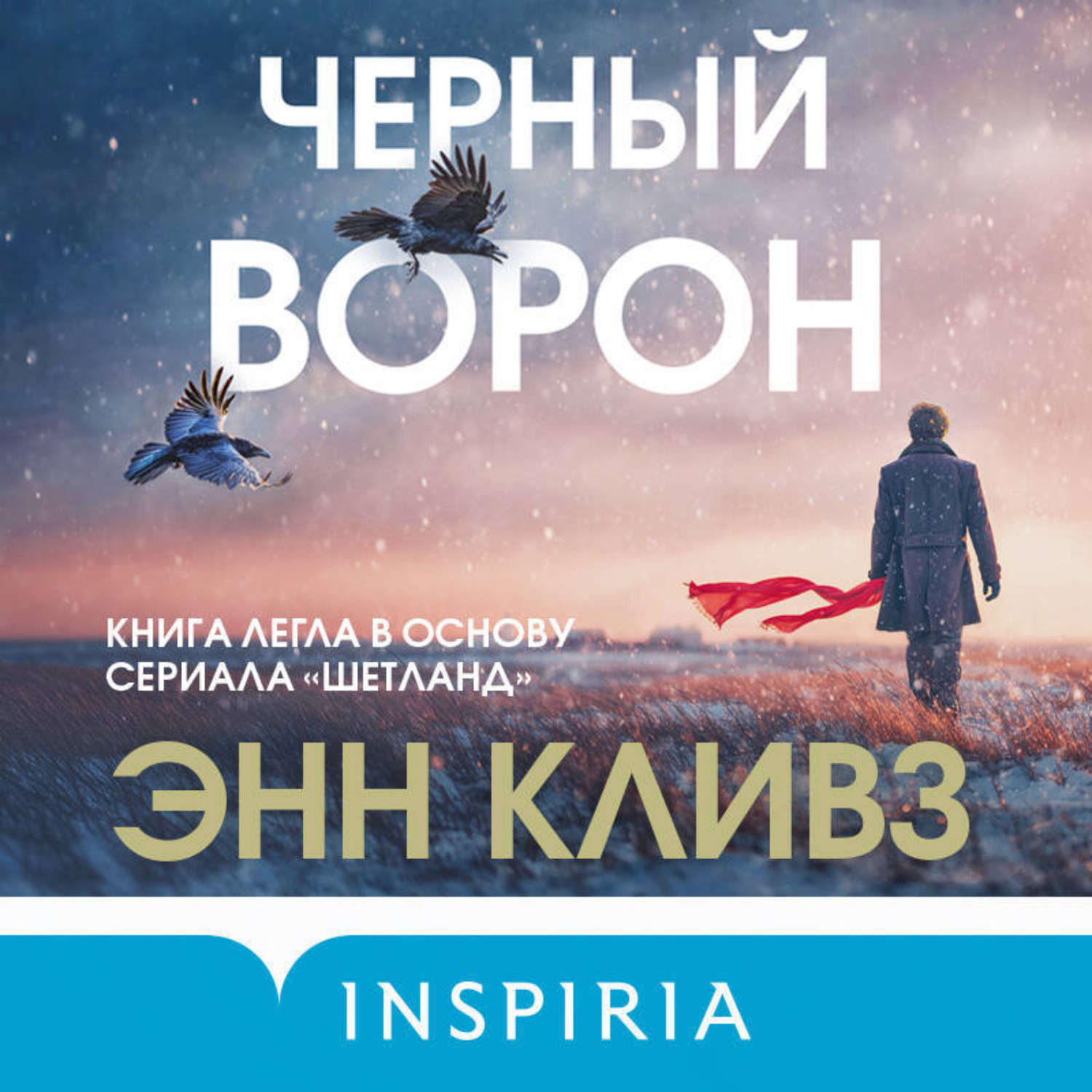 Обложка книги «Черный ворон»