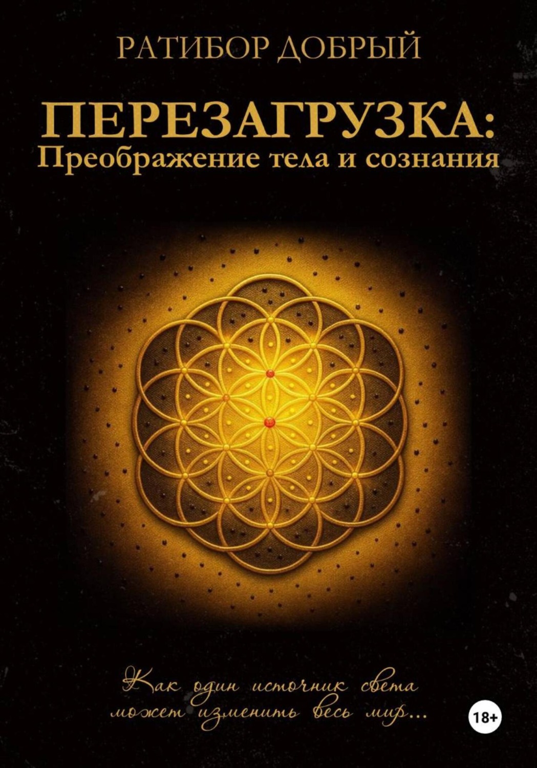 Обложка книги «Перезагрузка: Преображение тела и сознания»