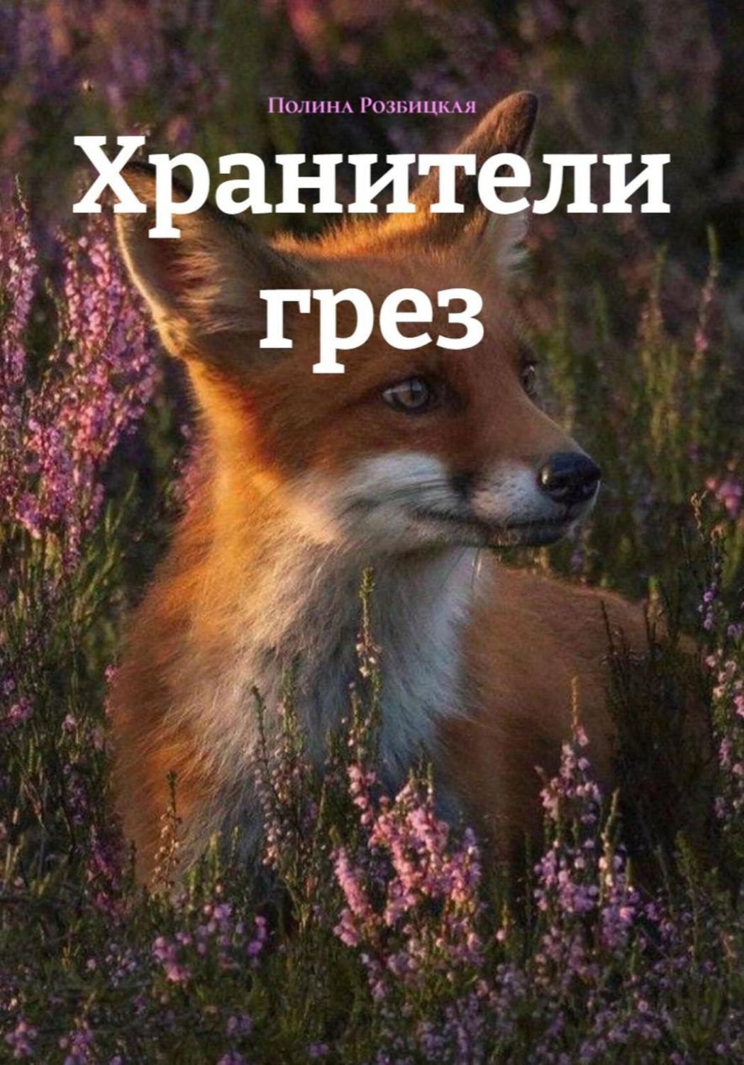 Обложка книги «Хранители грез»