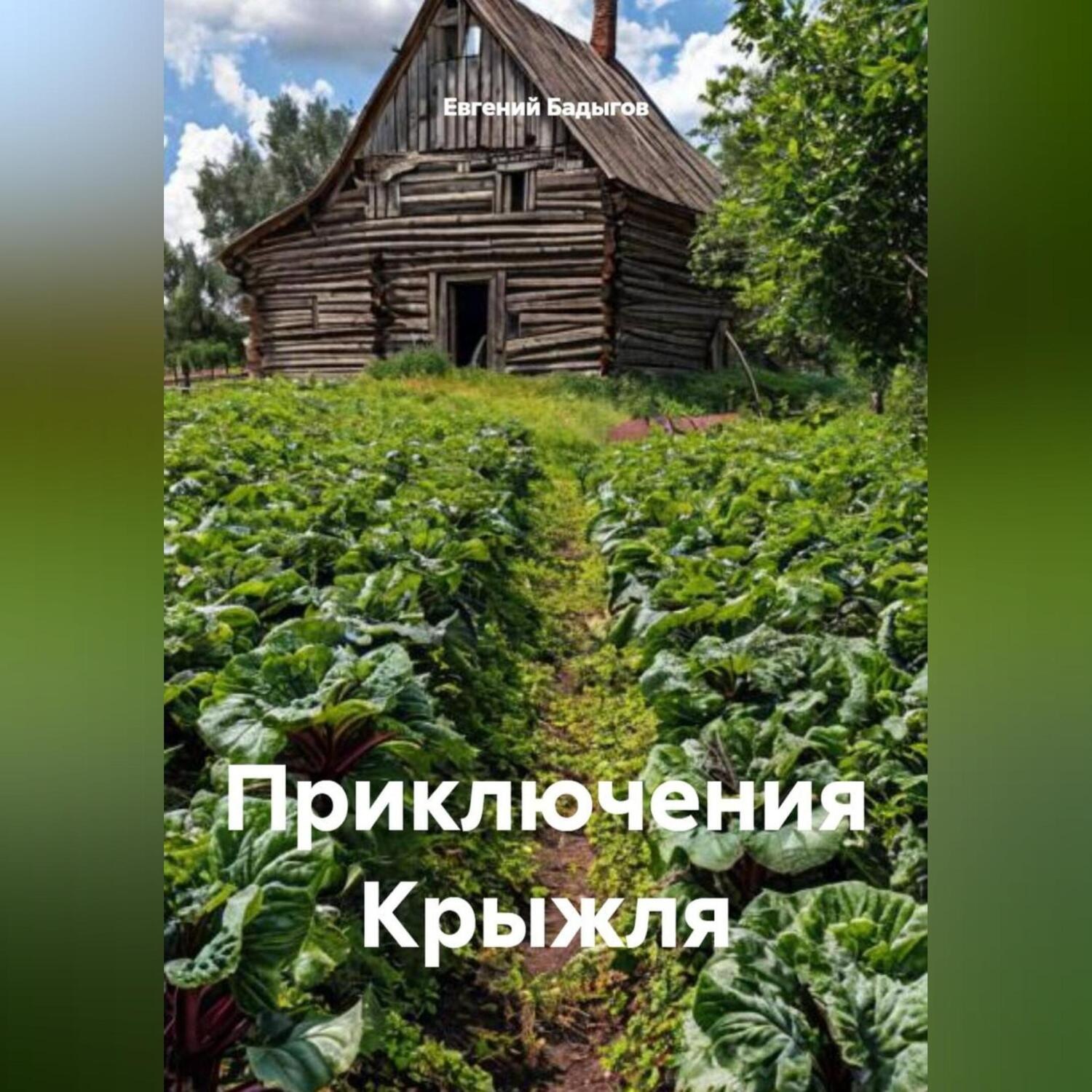 Обложка книги «Приключения Крыжля»