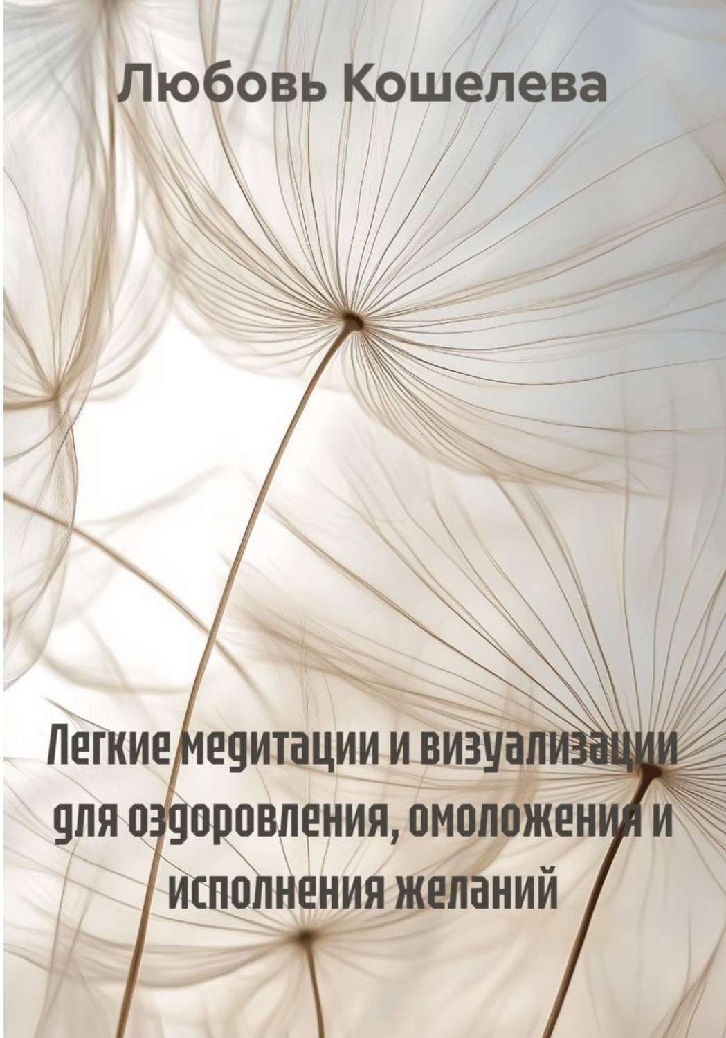 Обложка книги «Легкие медитации и визуализации для оздоровления, омоложения и исполнения желаний»