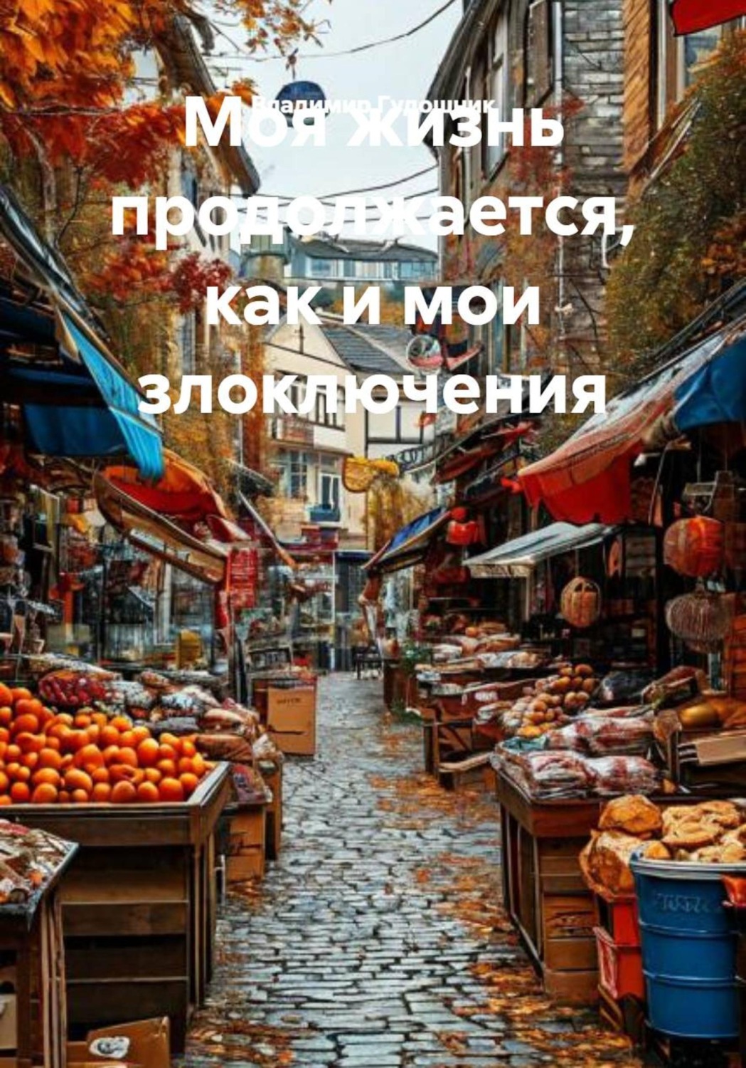 Обложка книги «Моя жизнь продолжается, как и мои злоключения»