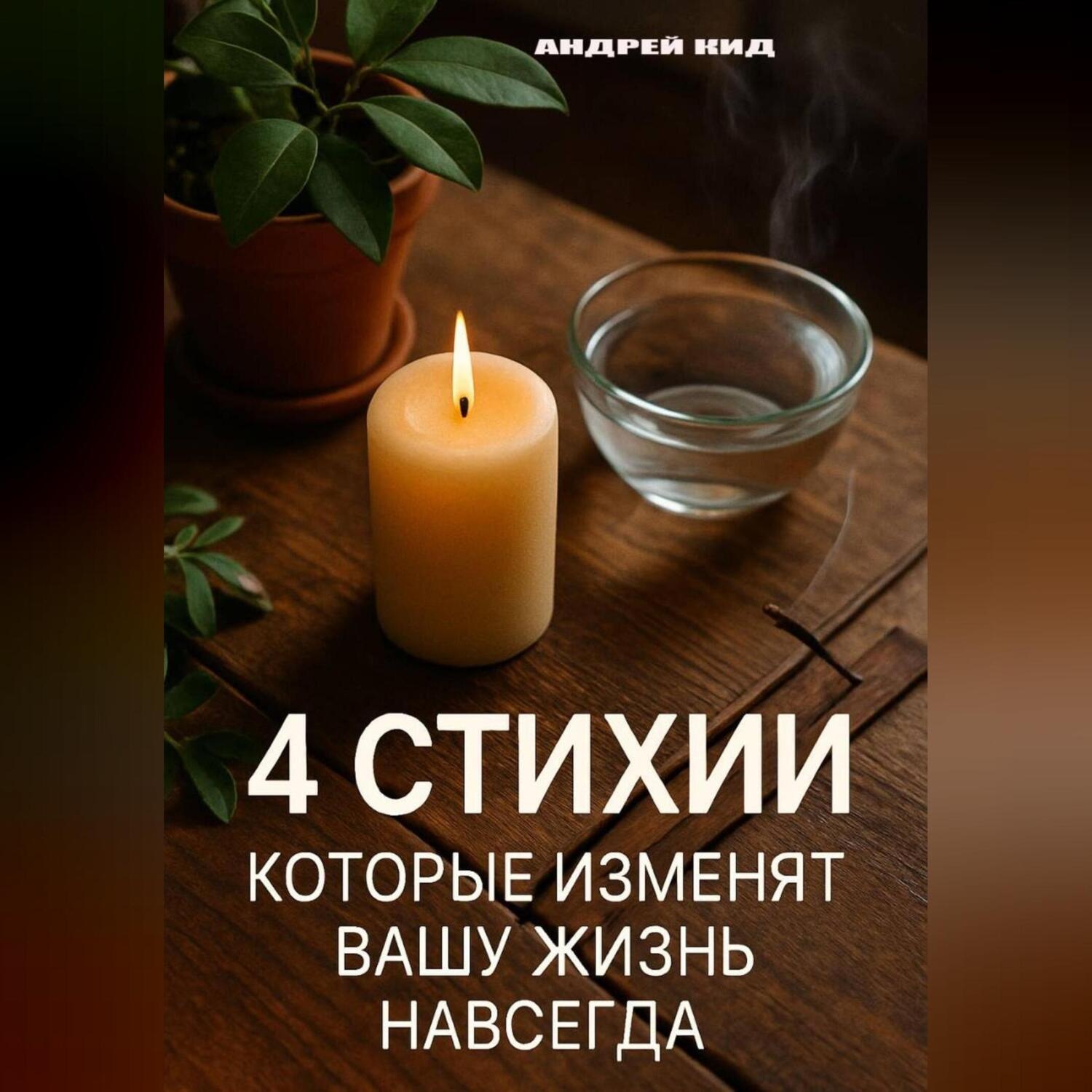 Обложка книги «4 стихии, которые изменят вашу жизнь навсегда»