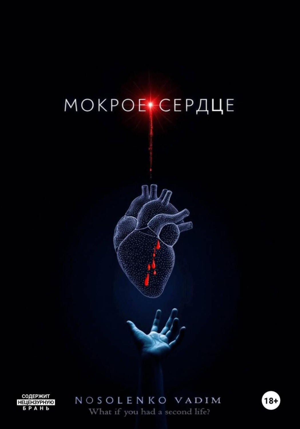 Обложка книги «Мокрое сердце»
