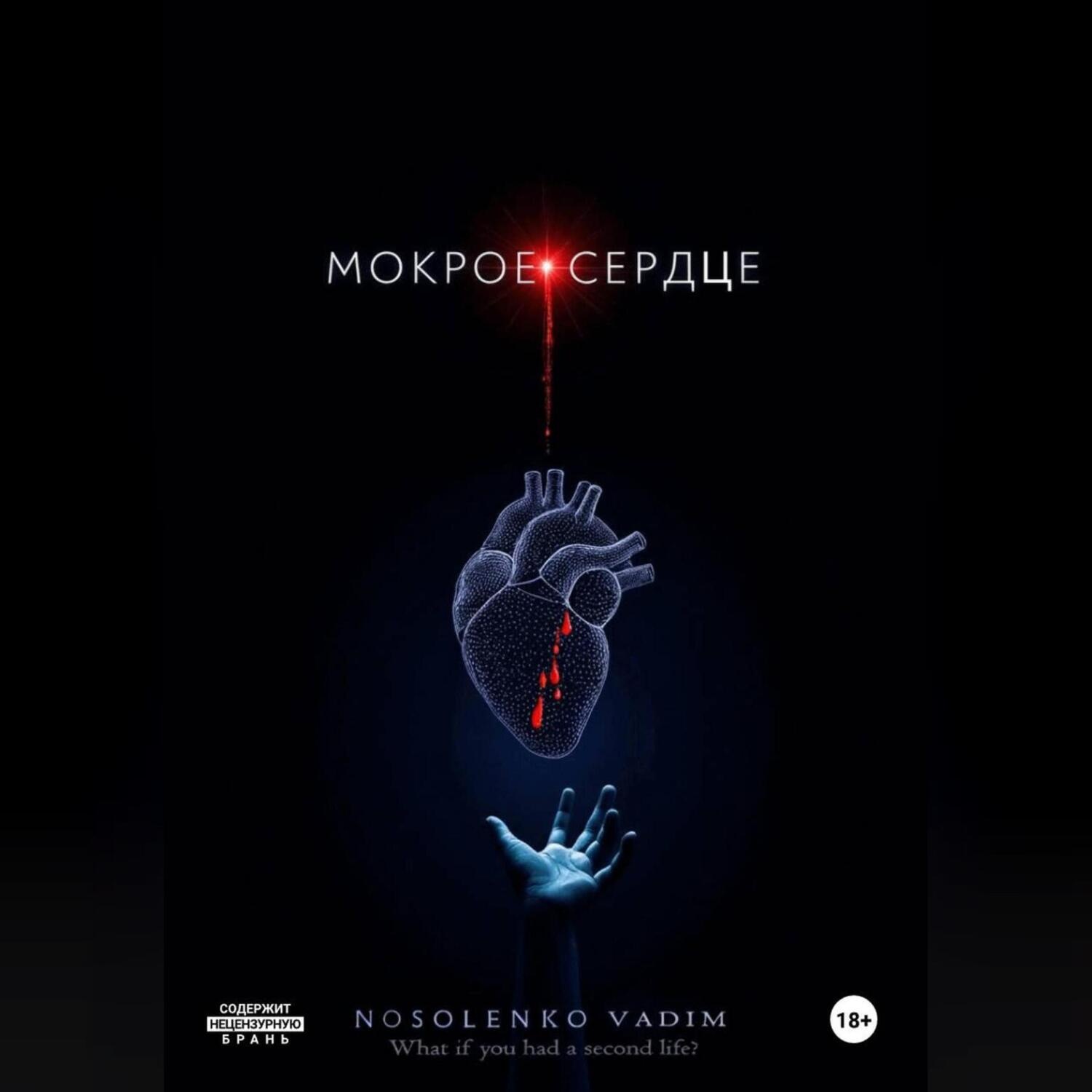 Обложка книги «Мокрое сердце»