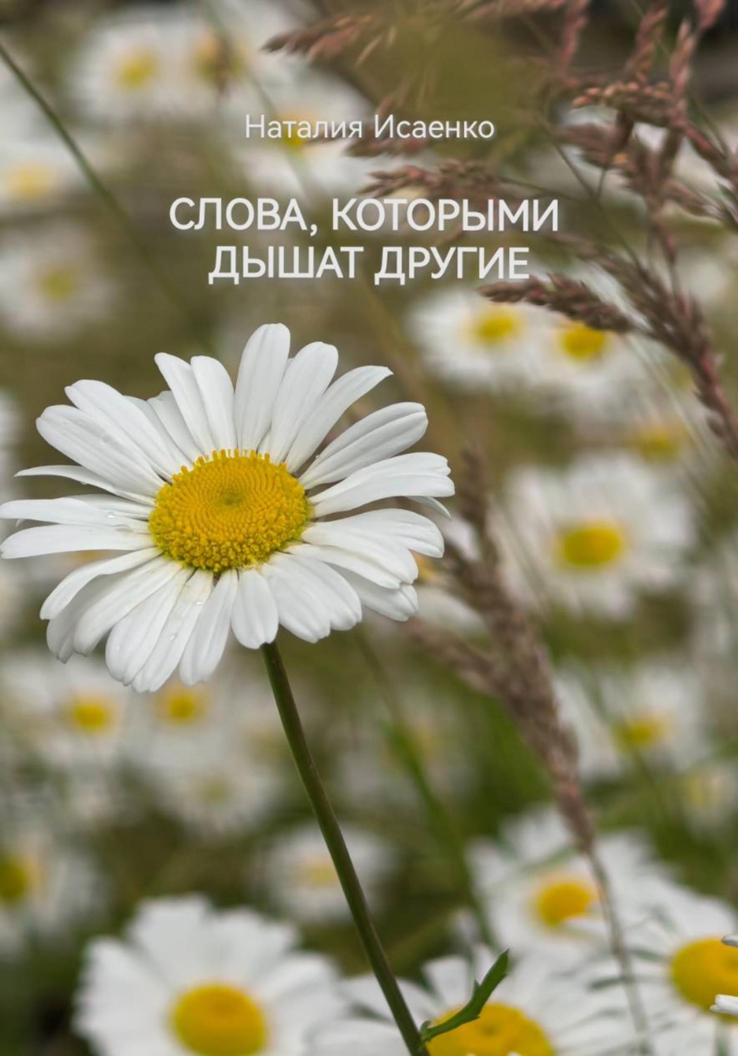 Обложка книги «Слова, которыми дышат другие»