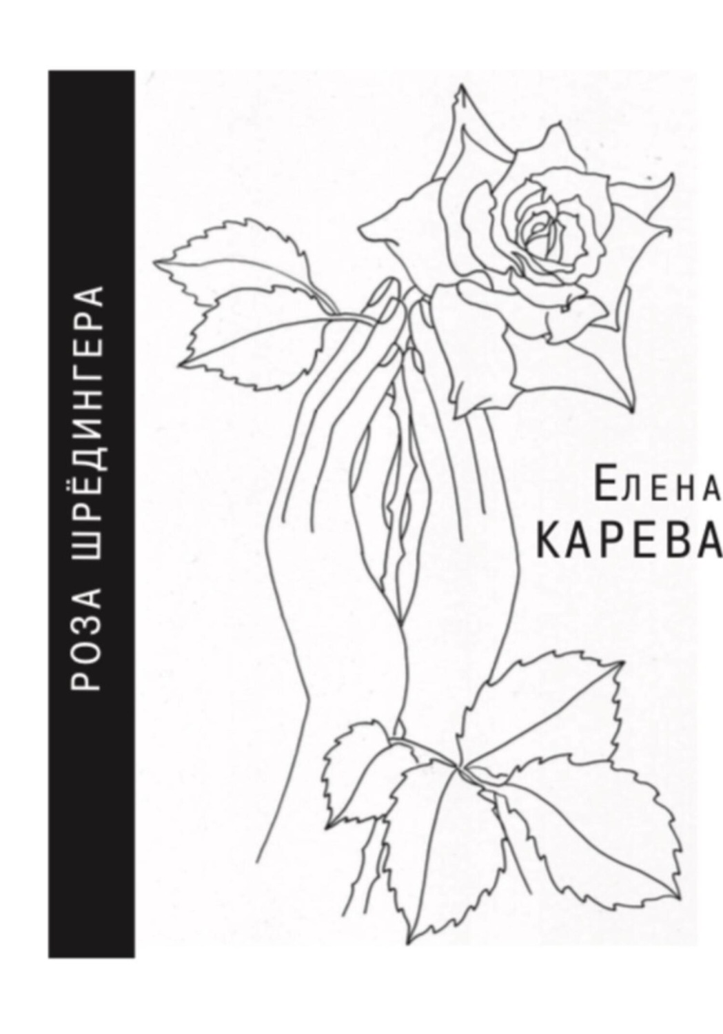 Обложка книги «Роза Шрёдингера»