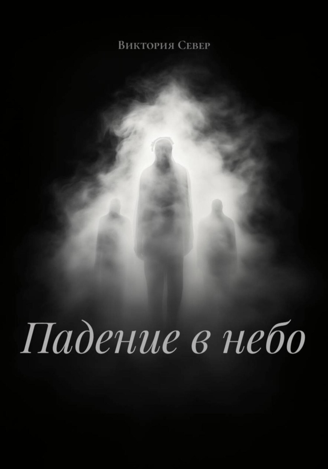 Обложка книги «Падение в небо»