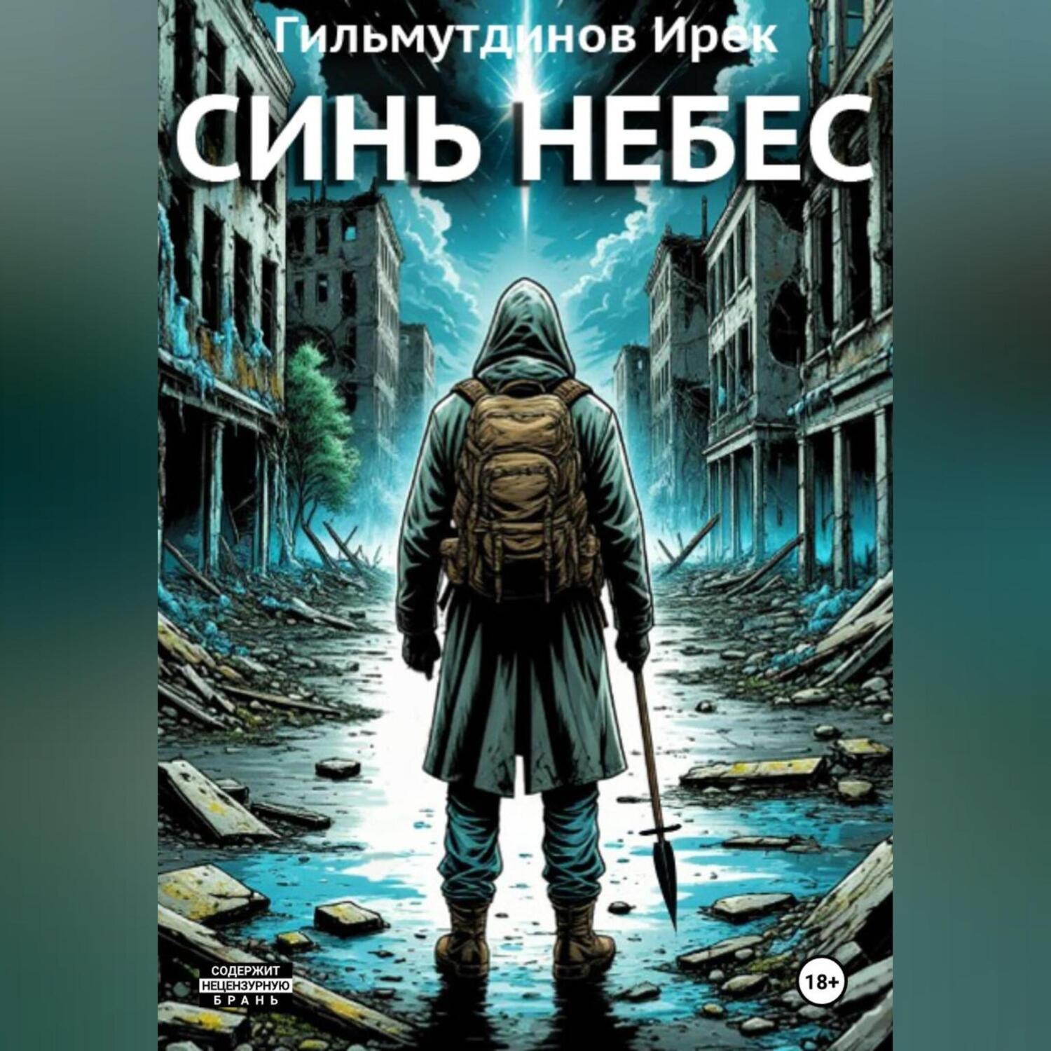 Обложка книги «Синь Небес»