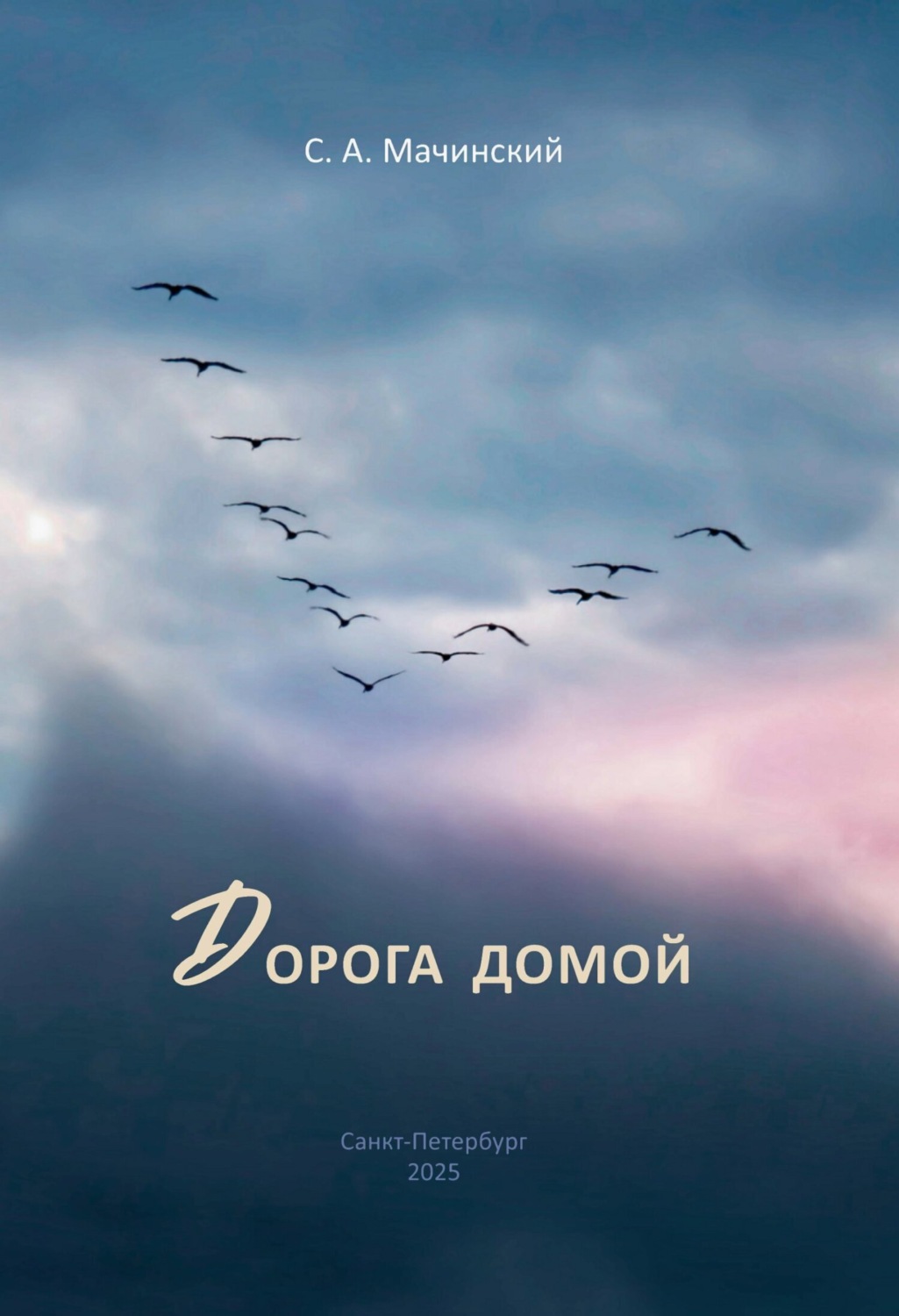 Обложка книги «Дорога домой»