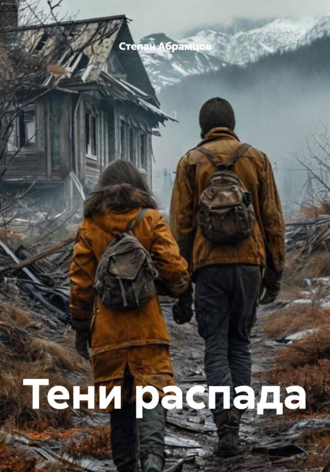 Обложка книги «Тени распада»