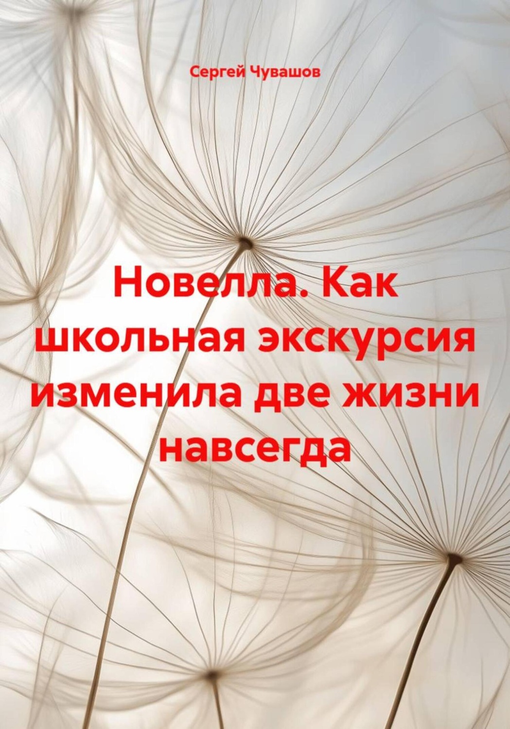 Обложка книги «Новелла. Как школьная экскурсия изменила две жизни навсегда»