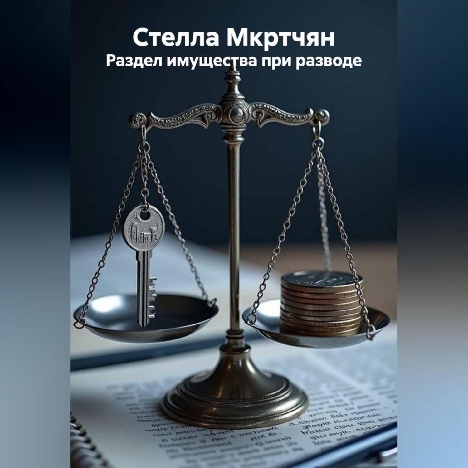 Обложка книги «Раздел имущества при разводе»