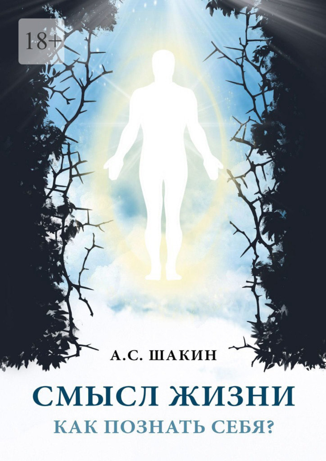 Обложка книги «Смысл жизни. Как познать себя?»