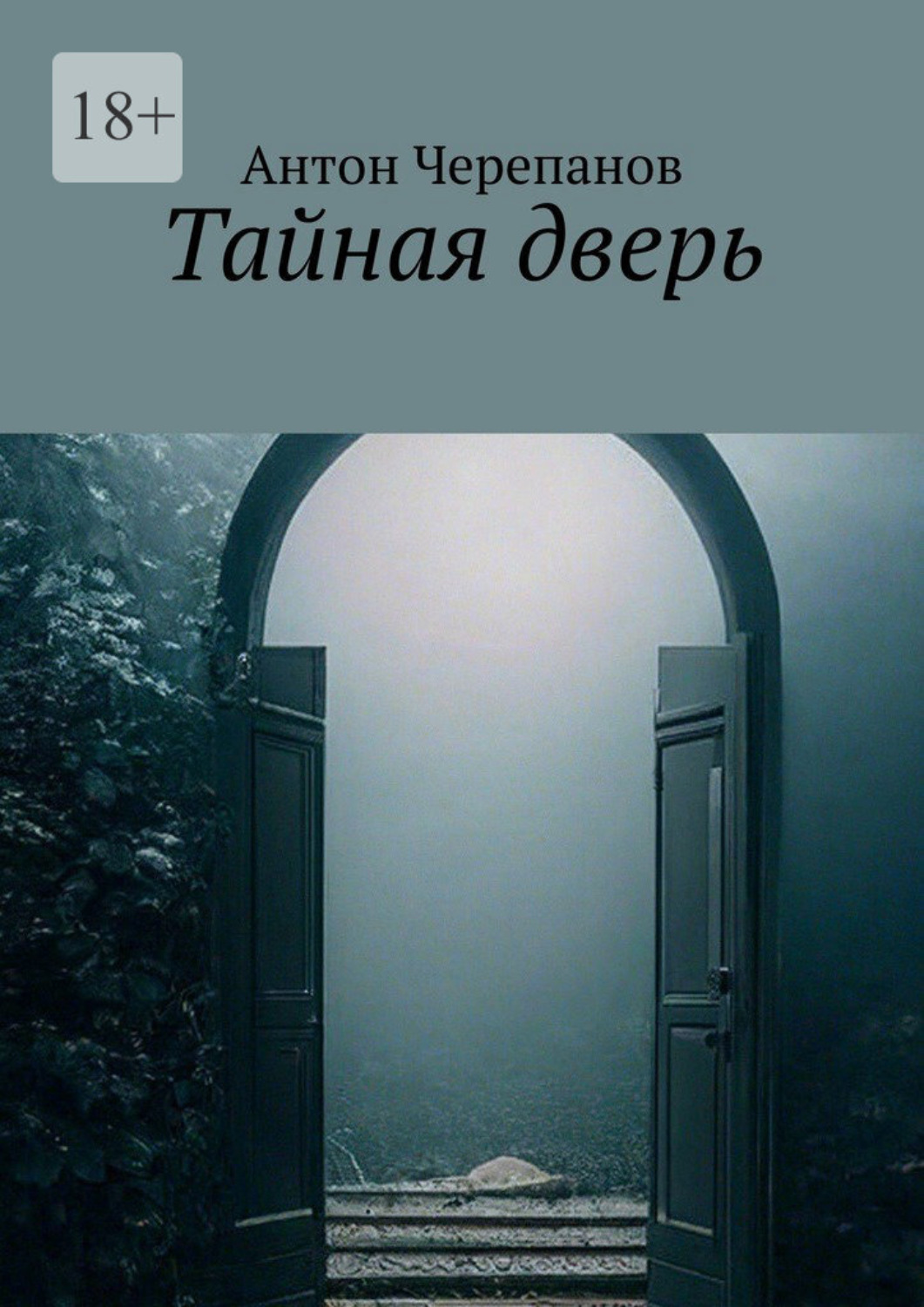 Обложка книги «Тайная дверь»